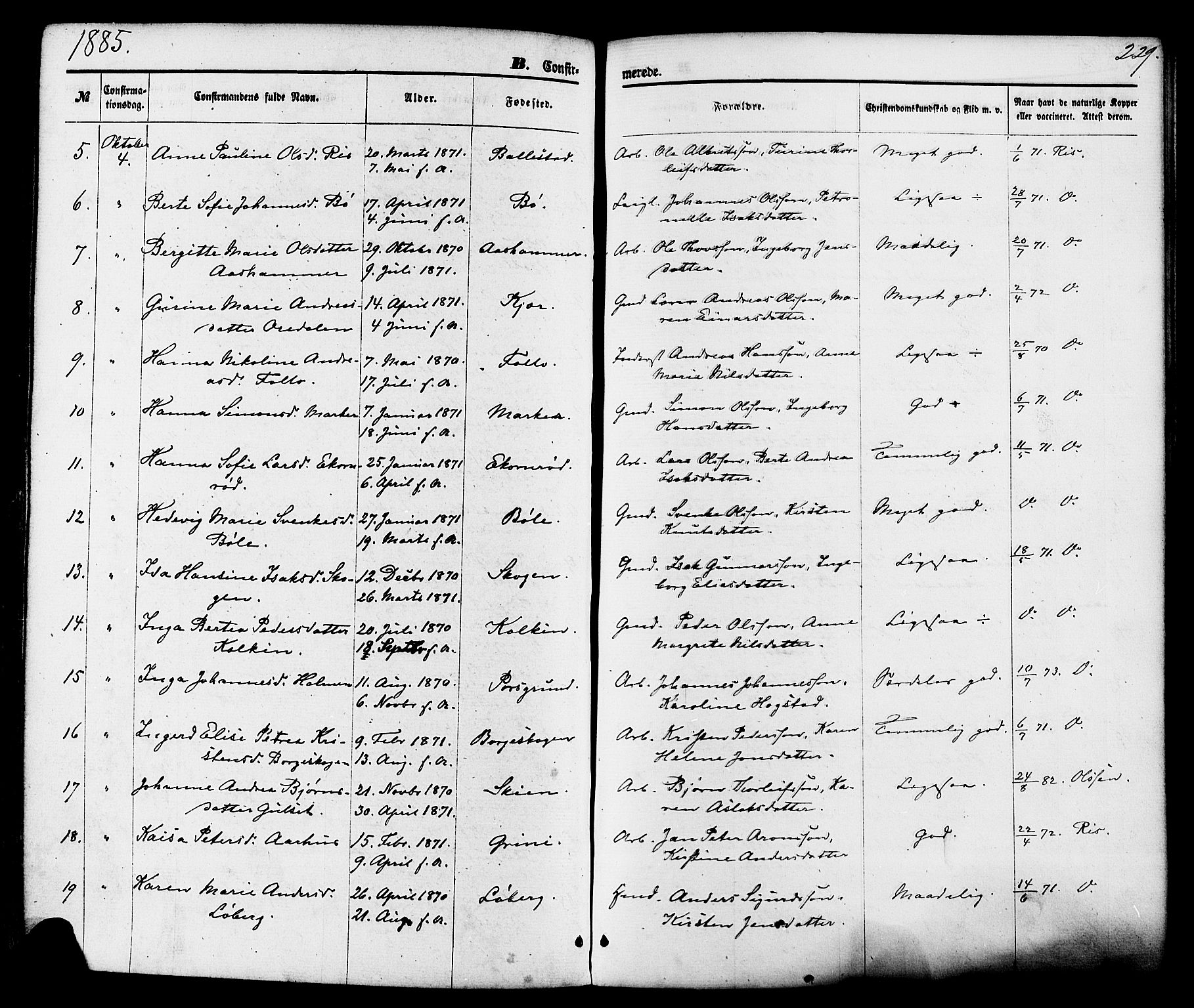 Gjerpen kirkebøker, SAKO/A-265/F/Fa/L0009: Parish register (official) no. I 9, 1872-1885, p. 229