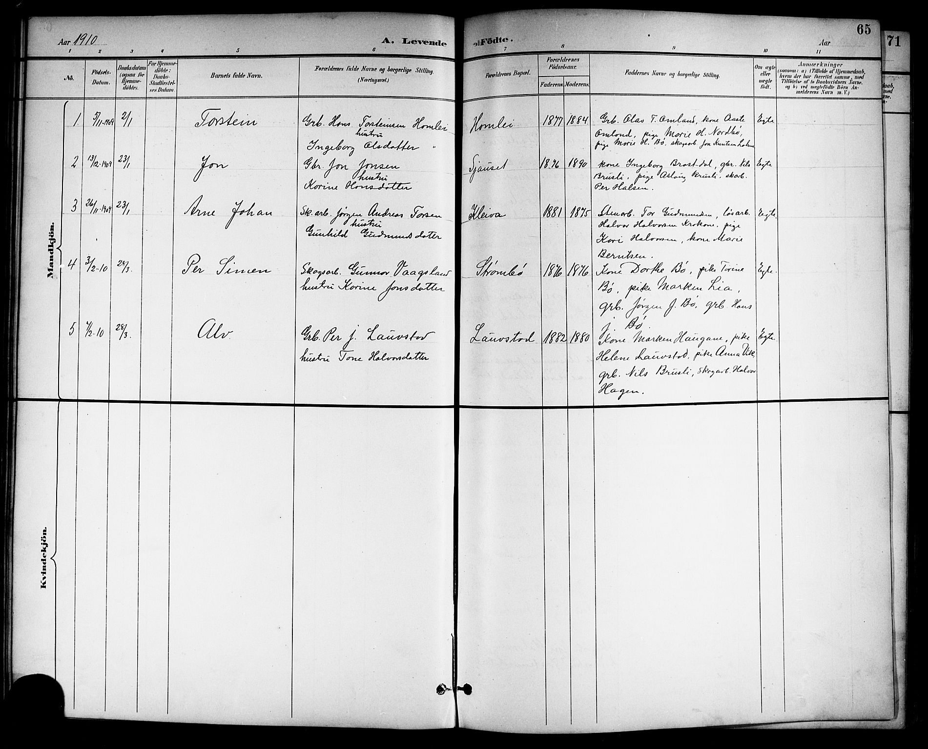 Drangedal kirkebøker, SAKO/A-258/G/Gb/L0002: Parish register (copy) no. II 2, 1895-1918, p. 65