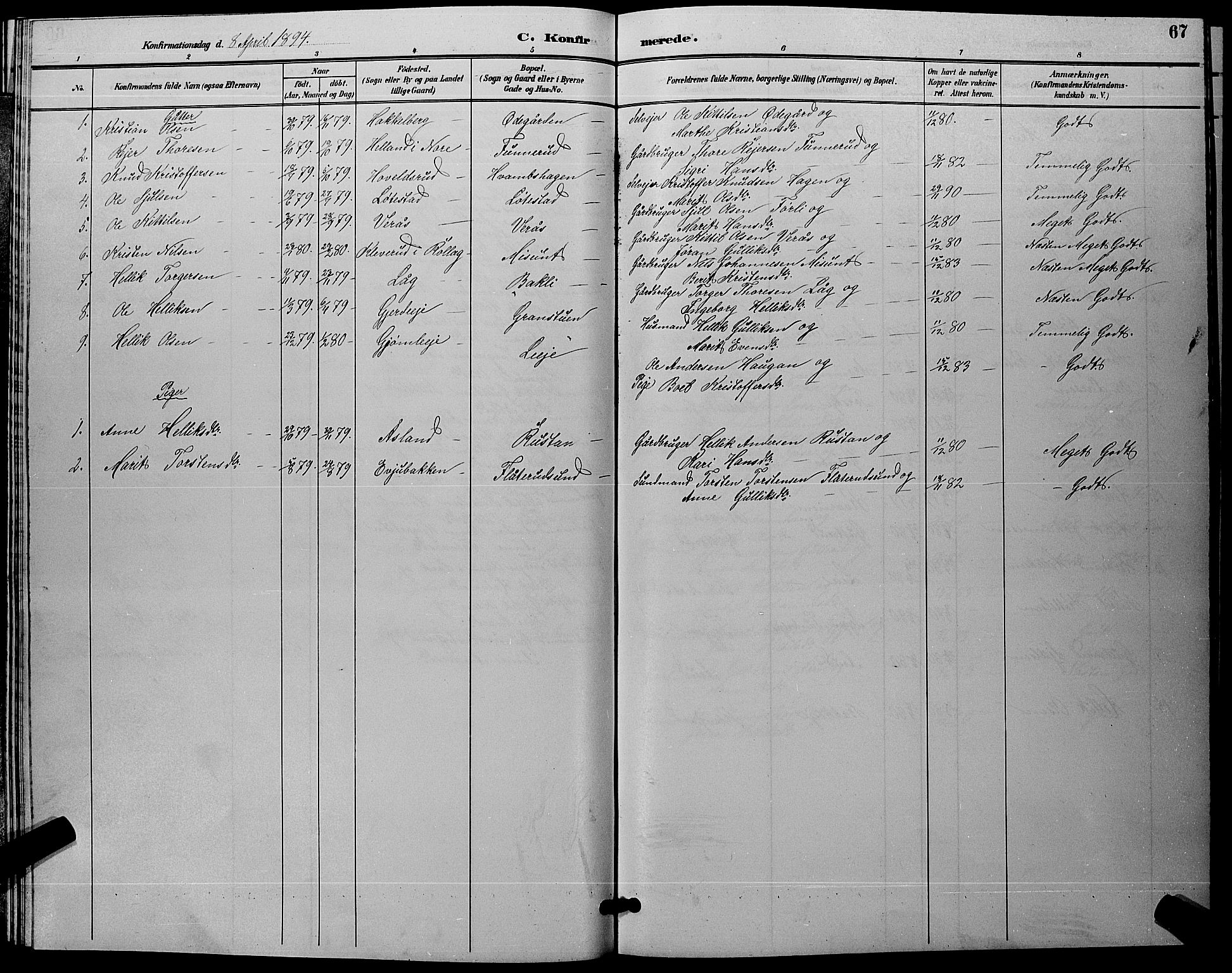 Flesberg kirkebøker, SAKO/A-18/G/Ga/L0004: Parish register (copy) no. I 4 /1, 1890-1898, p. 67