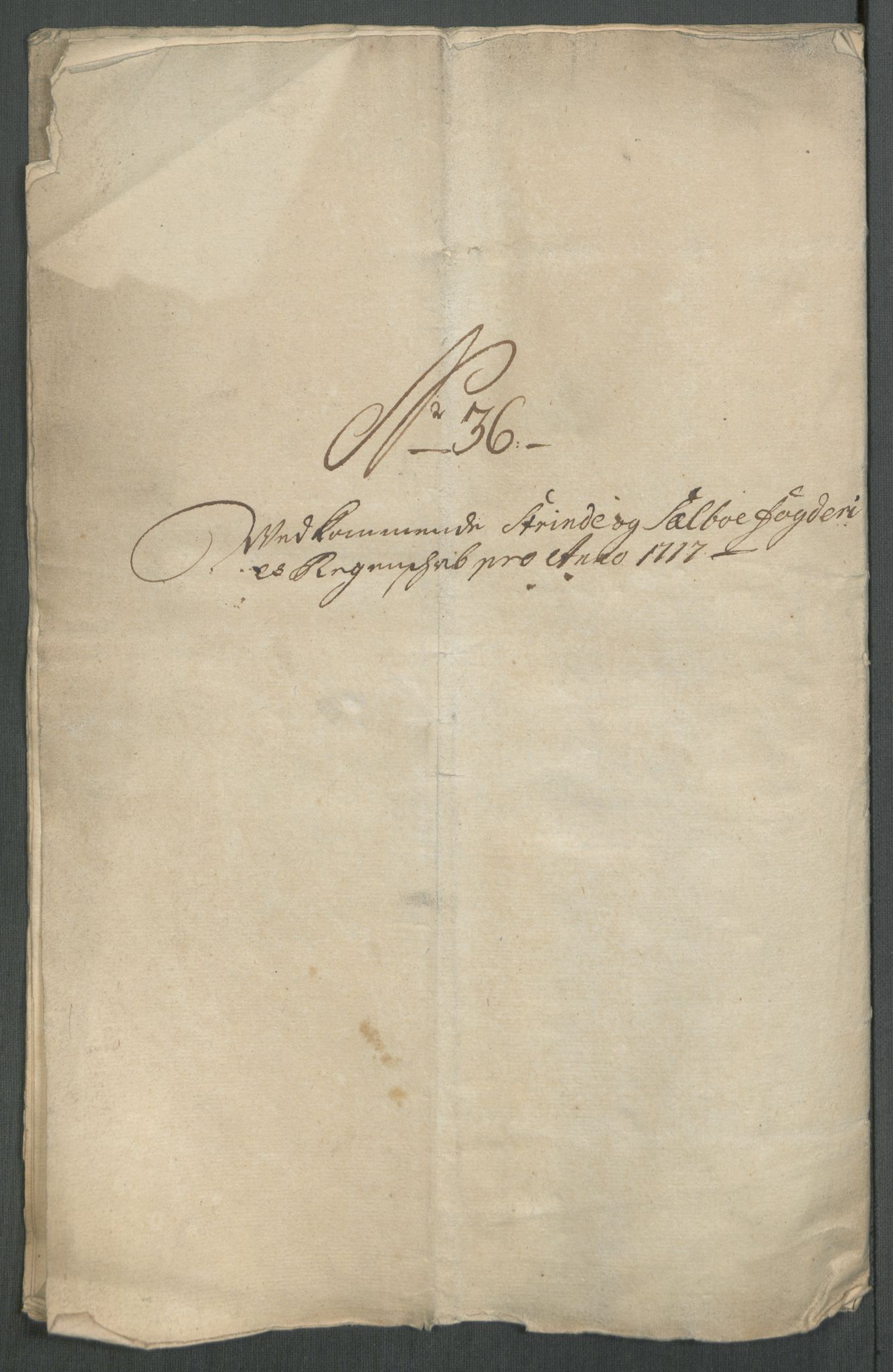Rentekammeret inntil 1814, Reviderte regnskaper, Fogderegnskap, RA/EA-4092/R61/L4116: Fogderegnskap Strinda og Selbu, 1717-1718, p. 248
