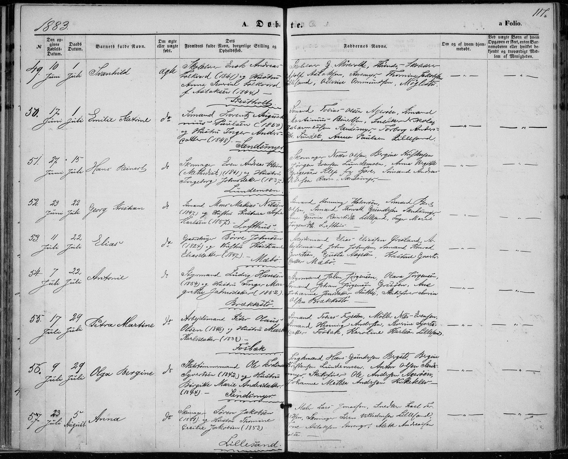 Vestre Moland sokneprestkontor, AV/SAK-1111-0046/F/Fa/Fab/L0008: Parish register (official) no. A 8, 1873-1883, p. 117