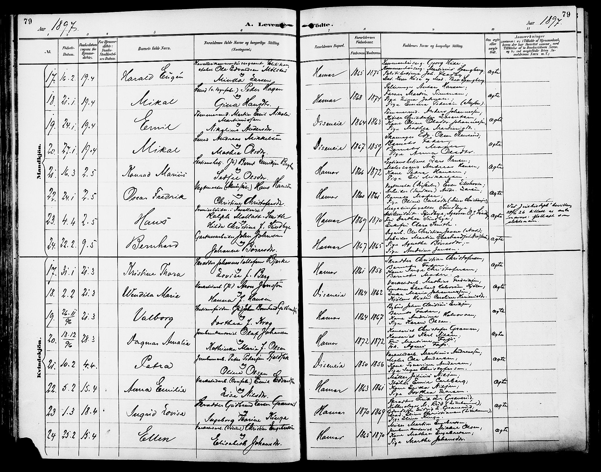 Vang prestekontor, Hedmark, AV/SAH-PREST-008/H/Ha/Haa/L0017: Parish register (official) no. 17, 1890-1899, p. 79