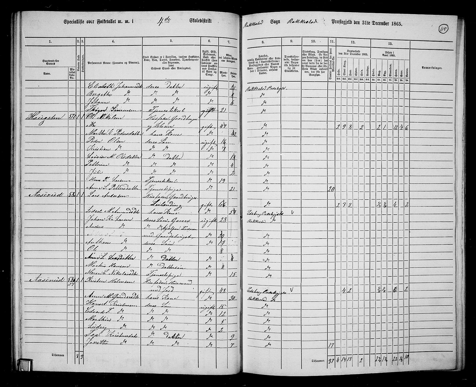 RA, 1865 census for Rakkestad, 1865, p. 113