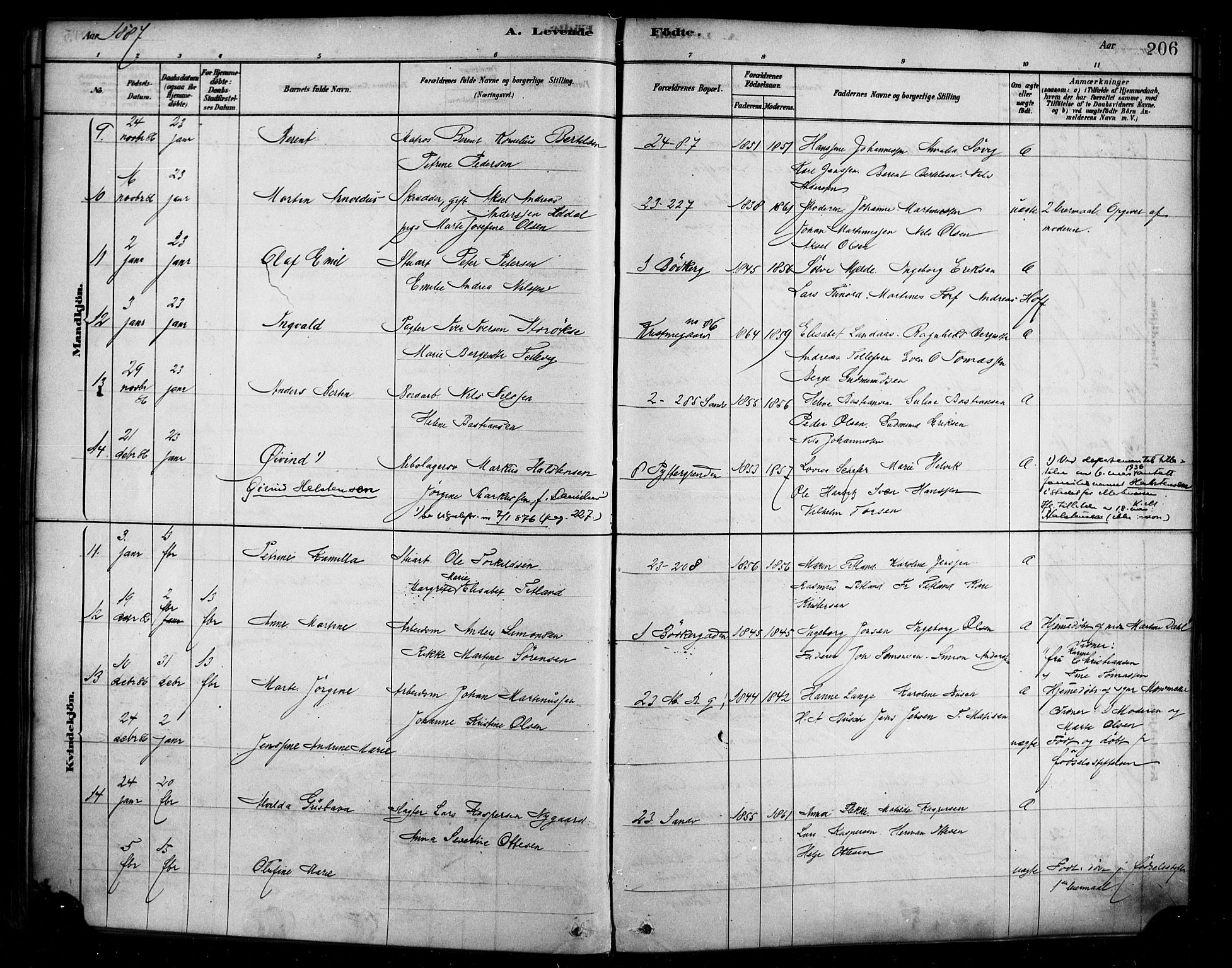 Sandviken Sokneprestembete, SAB/A-77601/H/Ha/L0004: Parish register (official) no. B 1, 1878-1891, p. 206