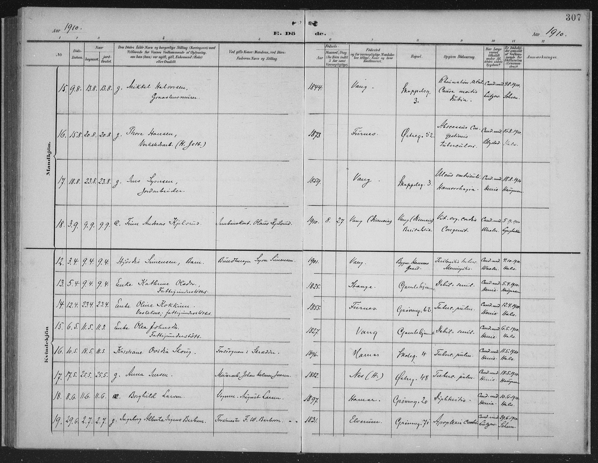 Hamar prestekontor, AV/SAH-DOMPH-002/H/Ha/Haa/L0001: Parish register (official) no. 1, 1900-1914, p. 307