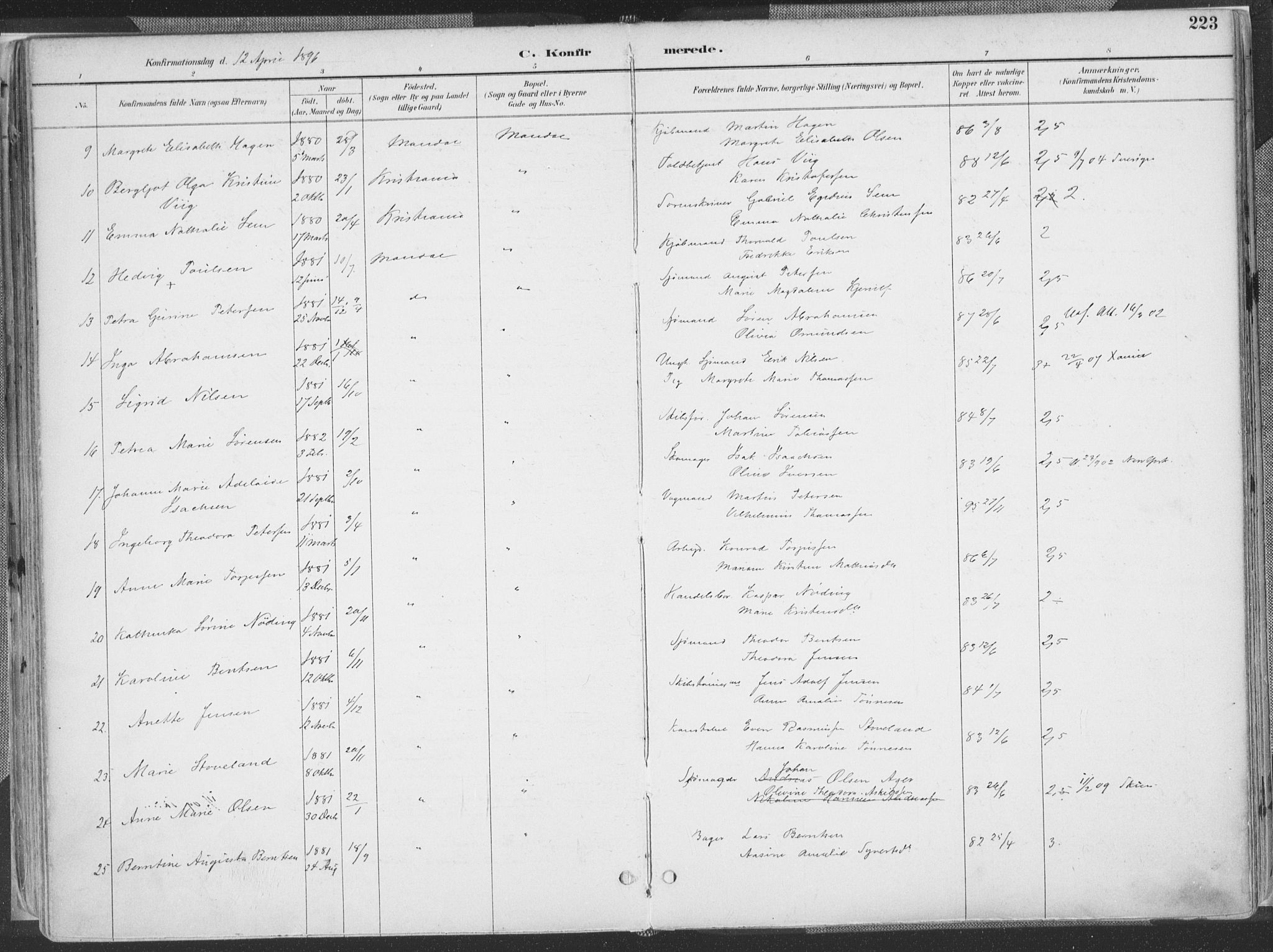 Mandal sokneprestkontor, SAK/1111-0030/F/Fa/Faa/L0018: Parish register (official) no. A 18, 1890-1905, p. 223