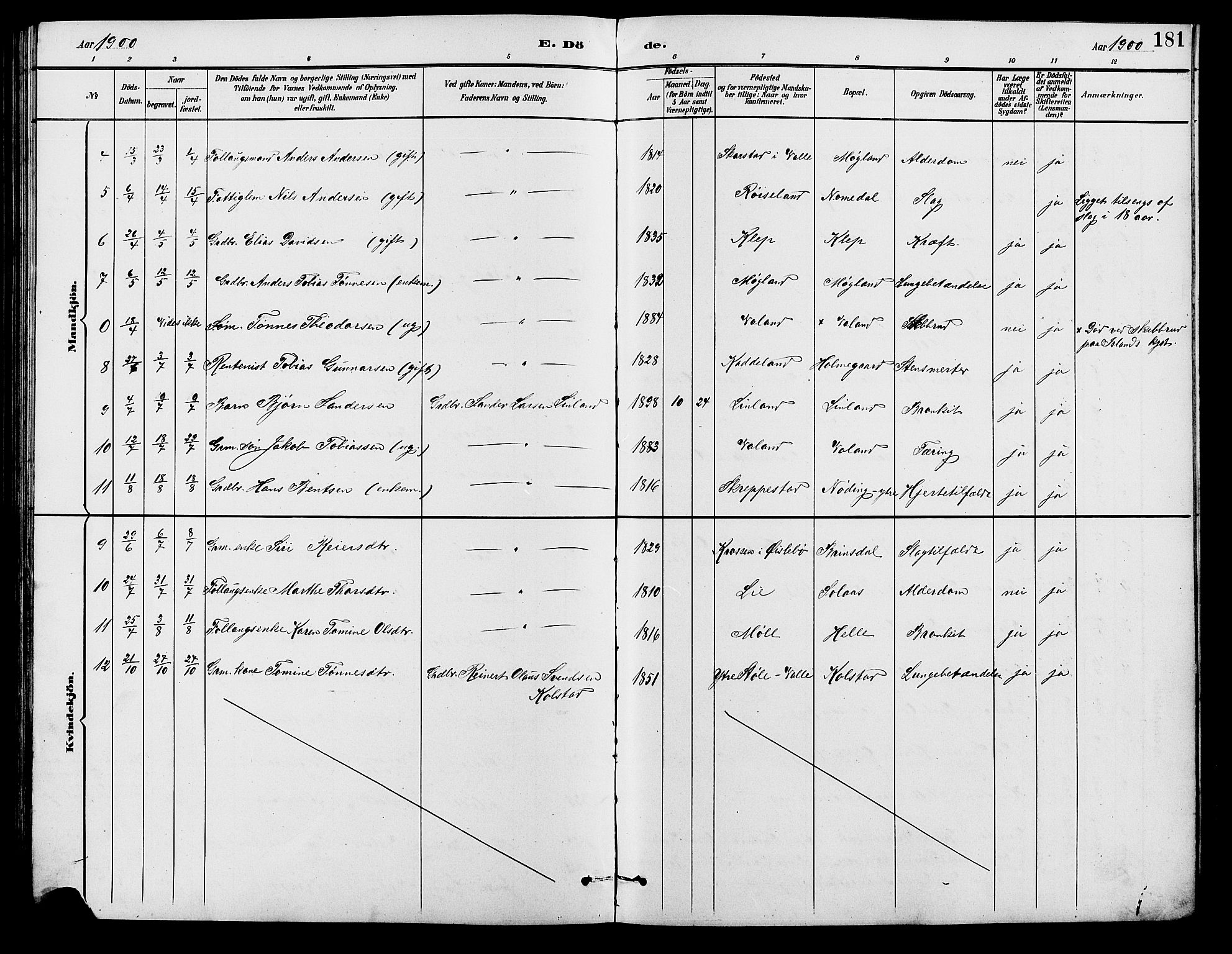 Holum sokneprestkontor, SAK/1111-0022/F/Fb/Fba/L0005: Parish register (copy) no. B 5, 1891-1909, p. 181