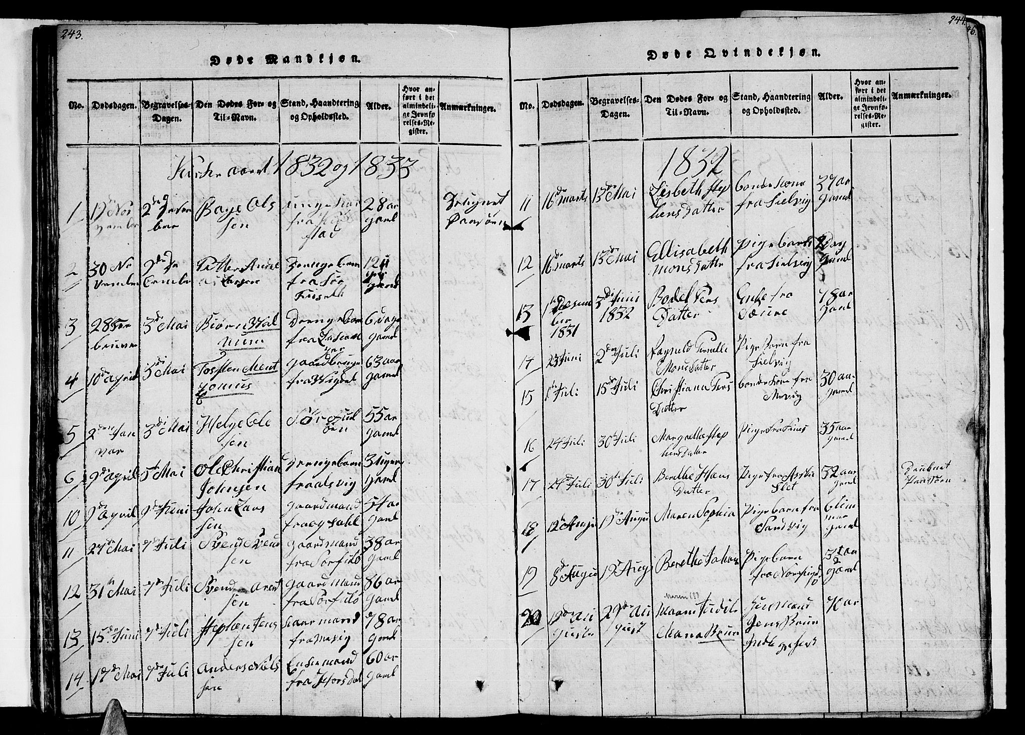 Ministerialprotokoller, klokkerbøker og fødselsregistre - Nordland, AV/SAT-A-1459/805/L0105: Parish register (copy) no. 805C01, 1820-1839, p. 243-244