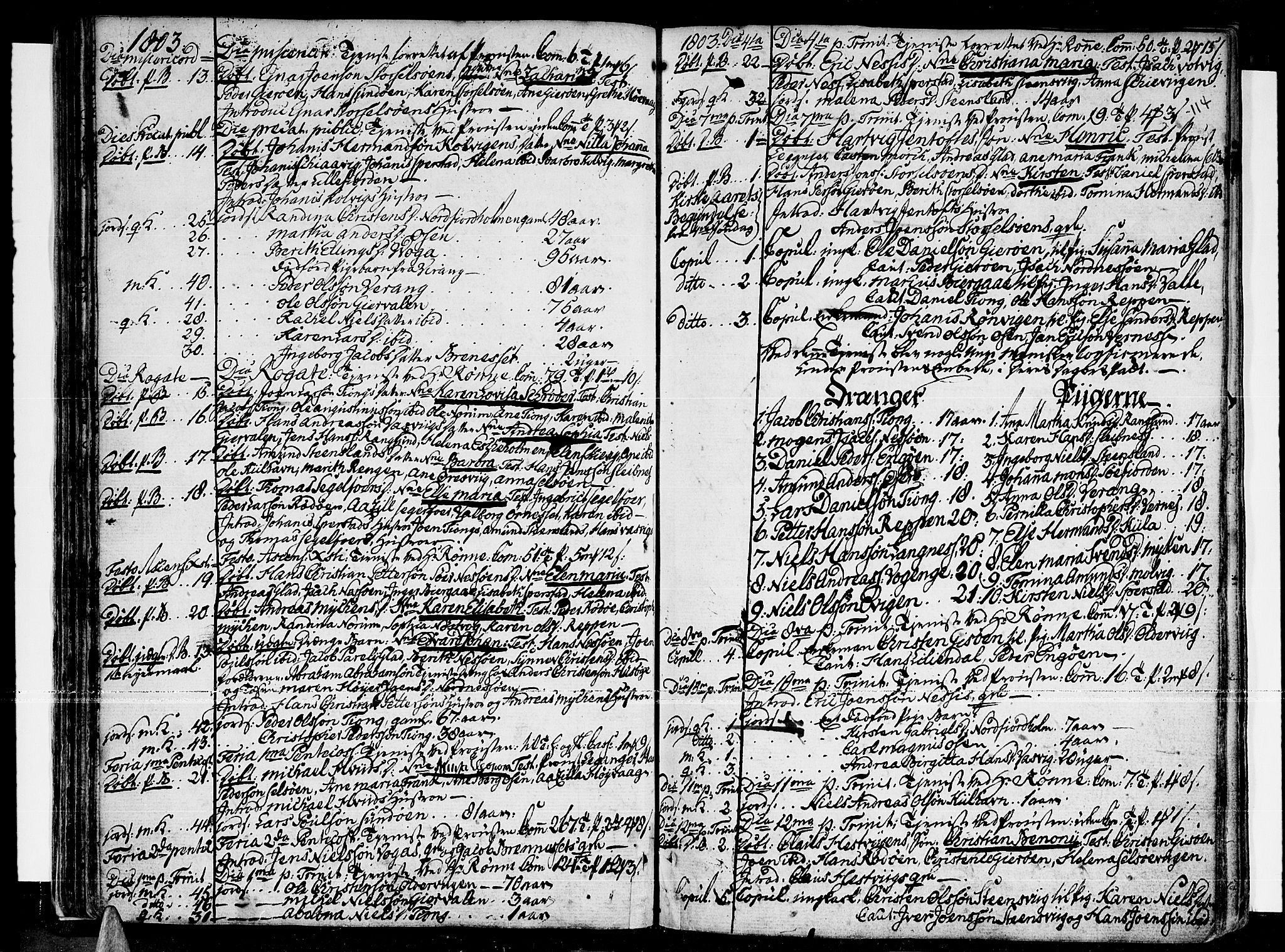 Ministerialprotokoller, klokkerbøker og fødselsregistre - Nordland, SAT/A-1459/841/L0591: Parish register (official) no. 841A03 /1, 1777-1819, p. 113-114
