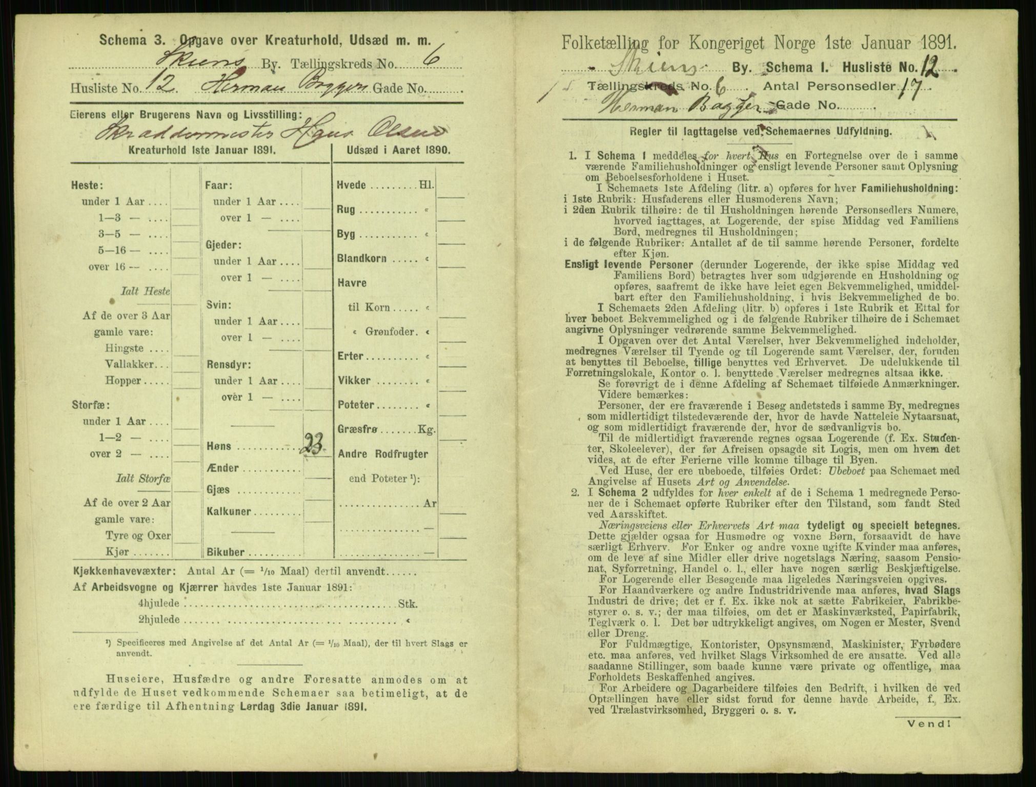 RA, 1891 census for 0806 Skien, 1891, p. 302