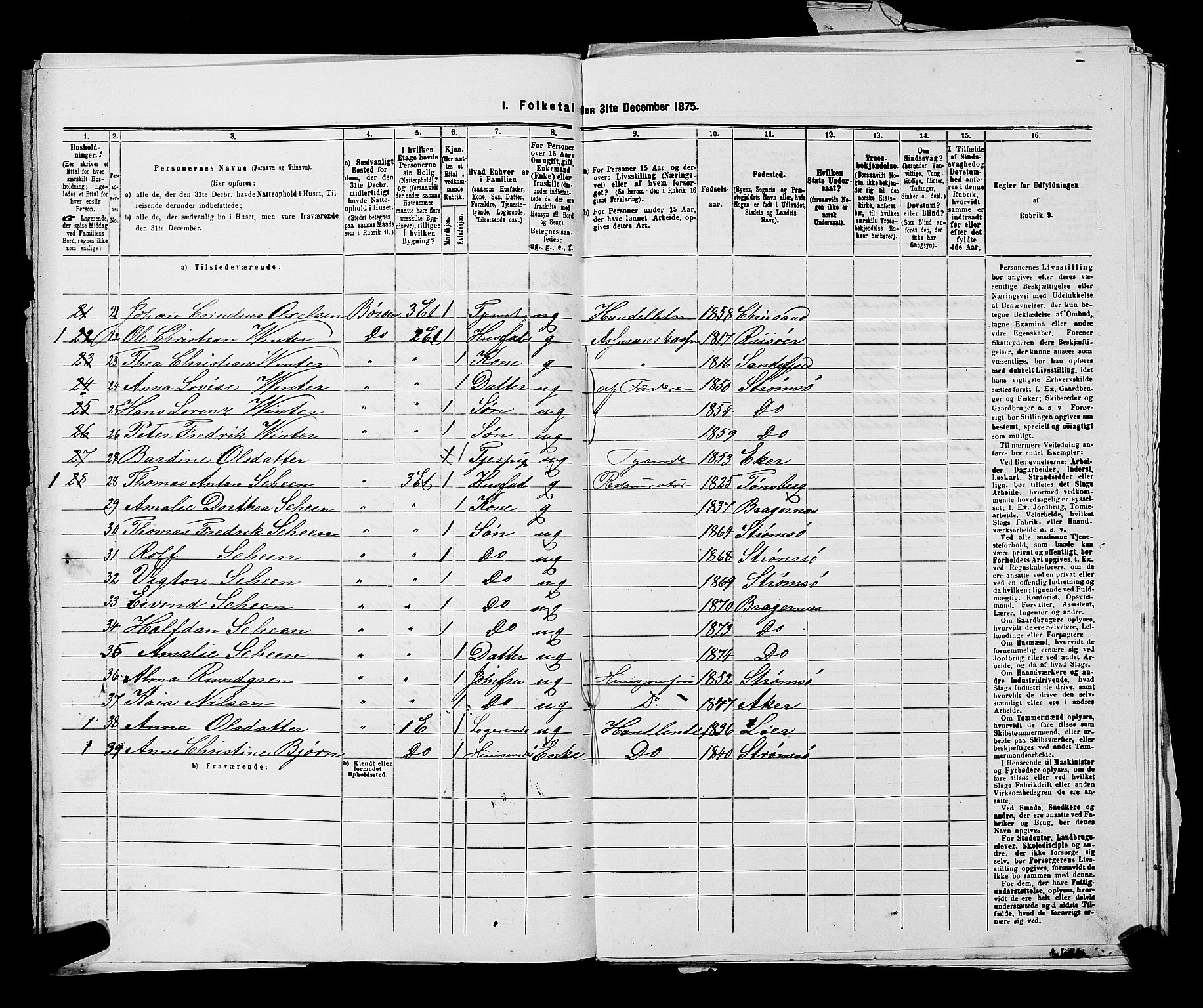 SAKO, 1875 census for 0602 Drammen, 1875, p. 1313