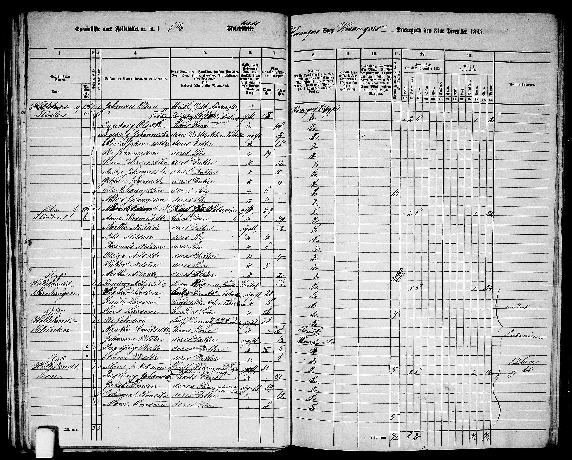 RA, 1865 census for Hosanger, 1865, p. 45