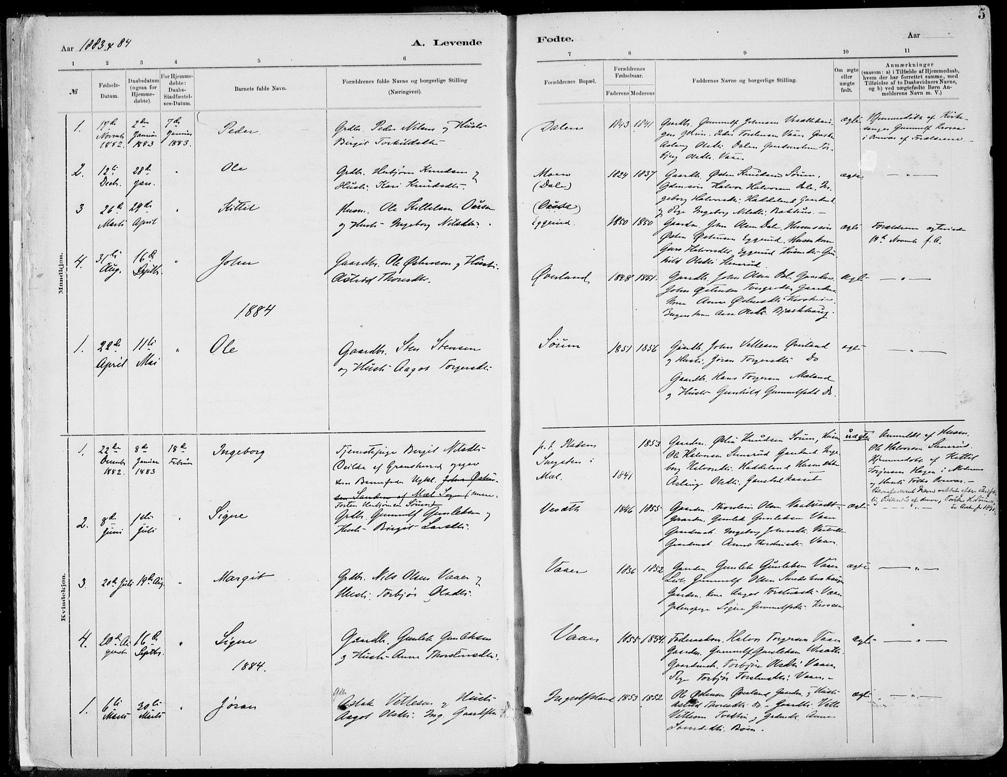 Rjukan kirkebøker, SAKO/A-294/F/Fa/L0001: Parish register (official) no. 1, 1878-1912, p. 5