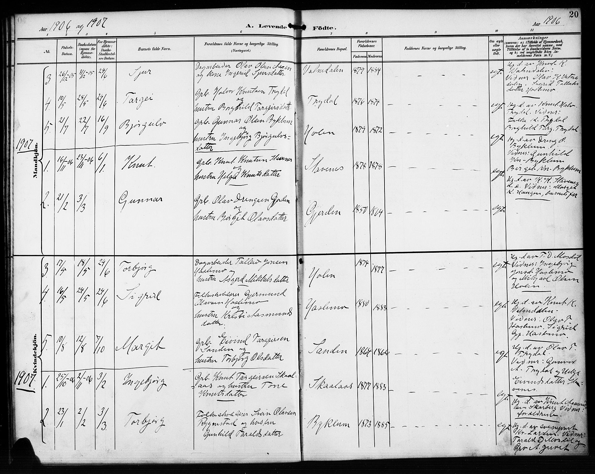 Valle sokneprestkontor, AV/SAK-1111-0044/F/Fb/Fba/L0003: Parish register (copy) no. B 3, 1895-1916, p. 20