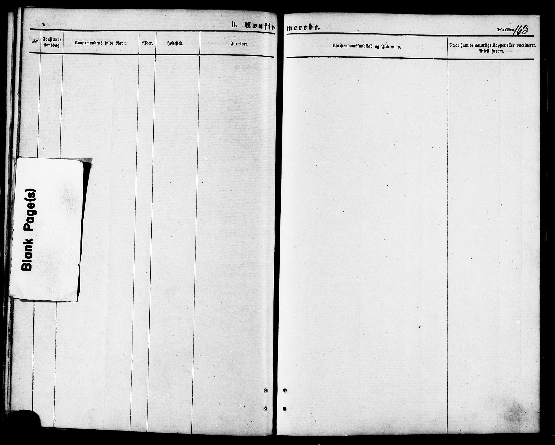 Ministerialprotokoller, klokkerbøker og fødselsregistre - Nordland, AV/SAT-A-1459/810/L0148: Parish register (official) no. 810A09 /1, 1874-1884, p. 163