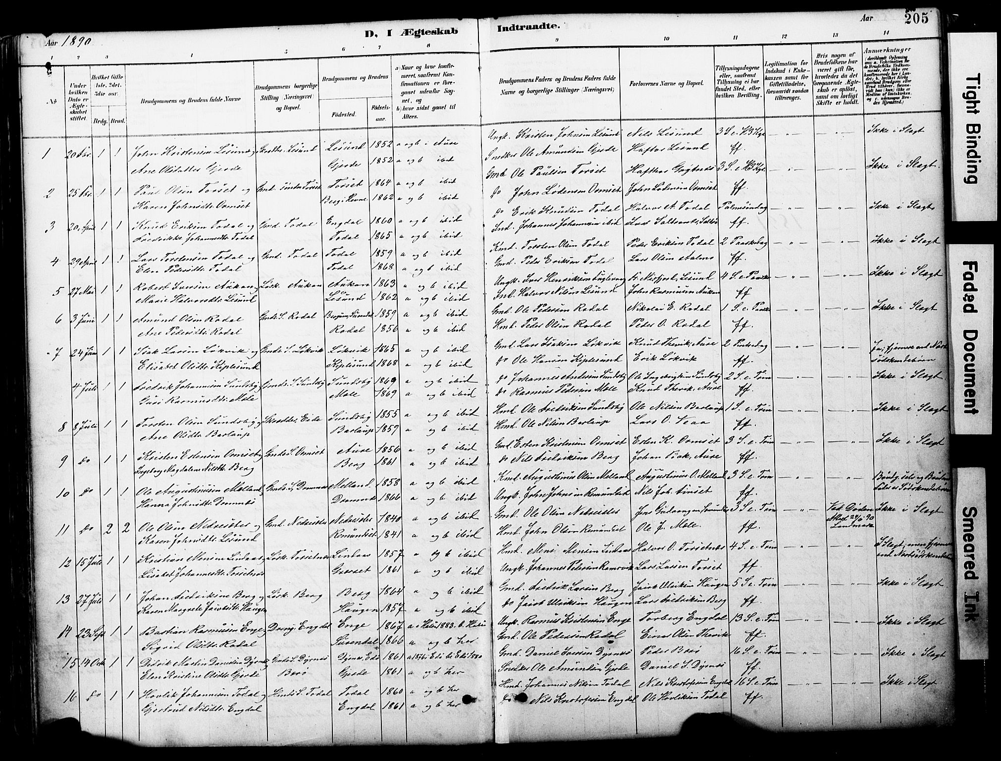 Ministerialprotokoller, klokkerbøker og fødselsregistre - Møre og Romsdal, AV/SAT-A-1454/578/L0907: Parish register (official) no. 578A06, 1887-1904, p. 205