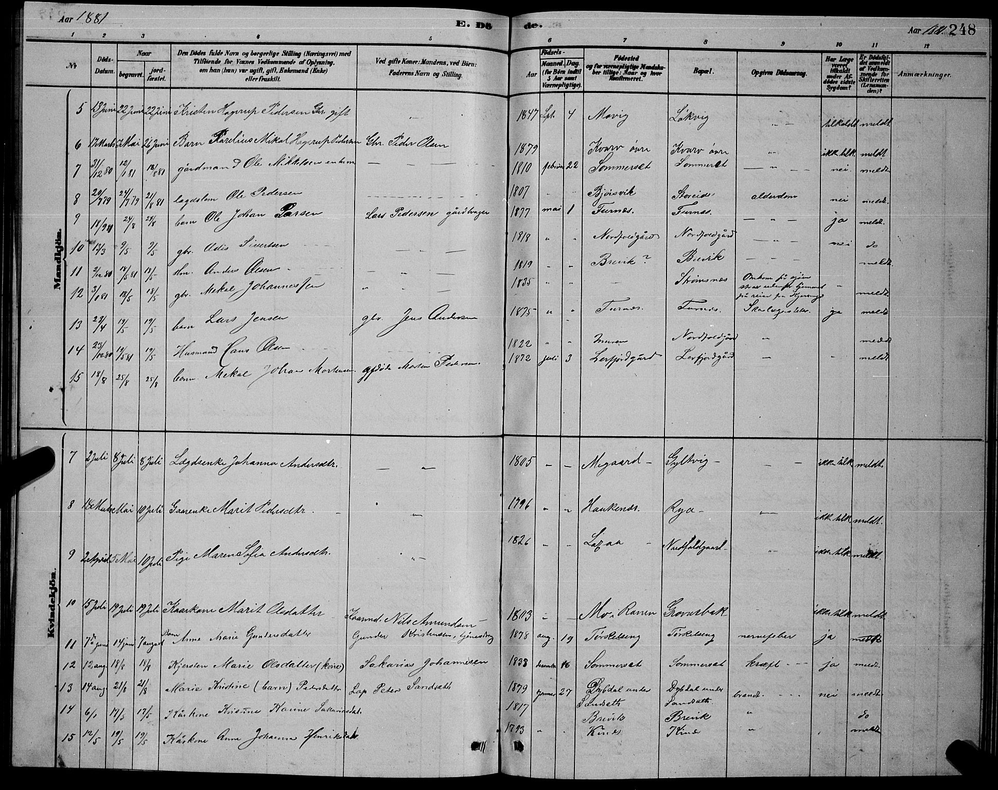 Ministerialprotokoller, klokkerbøker og fødselsregistre - Nordland, AV/SAT-A-1459/853/L0776: Parish register (copy) no. 853C04, 1878-1889, p. 248