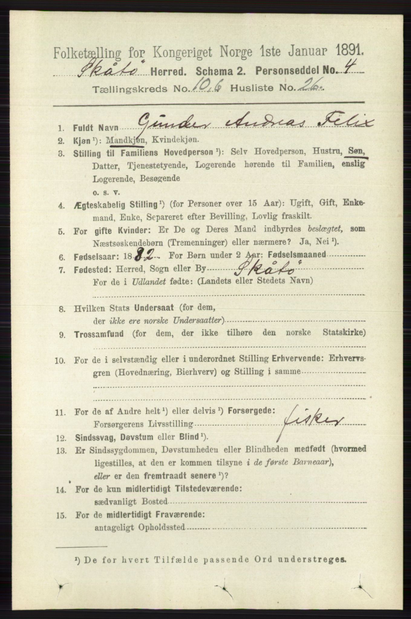 RA, 1891 census for 0815 Skåtøy, 1891, p. 4196