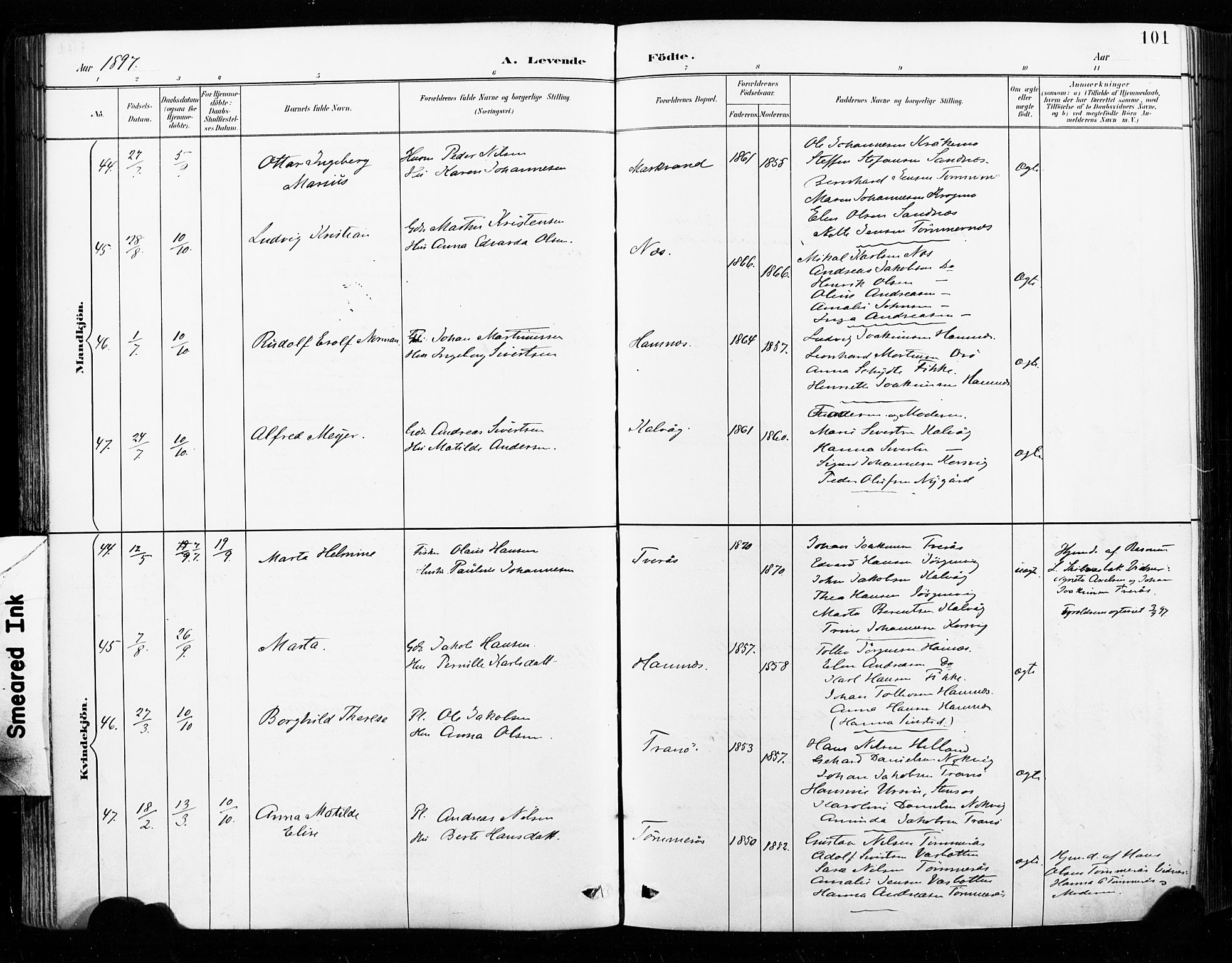 Ministerialprotokoller, klokkerbøker og fødselsregistre - Nordland, AV/SAT-A-1459/859/L0847: Parish register (official) no. 859A07, 1890-1899, p. 101