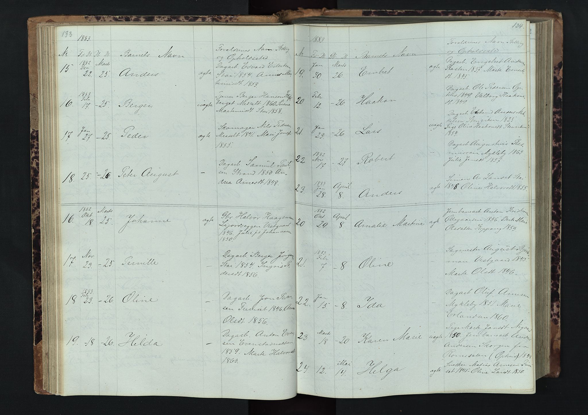 Stor-Elvdal prestekontor, AV/SAH-PREST-052/H/Ha/Hab/L0001: Parish register (copy) no. 1 /1, 1860-1894, p. 133-134