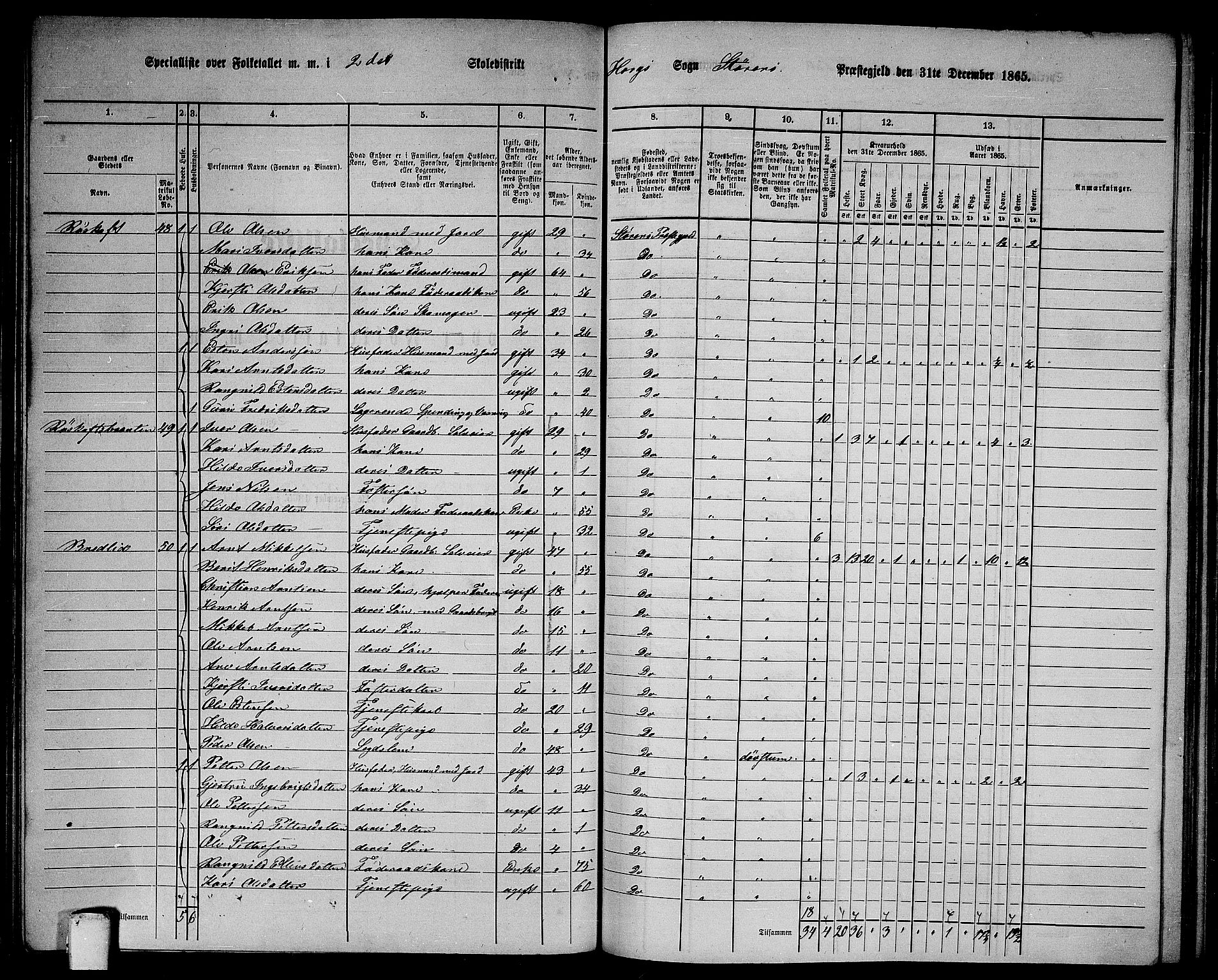 RA, 1865 census for Støren, 1865, p. 147