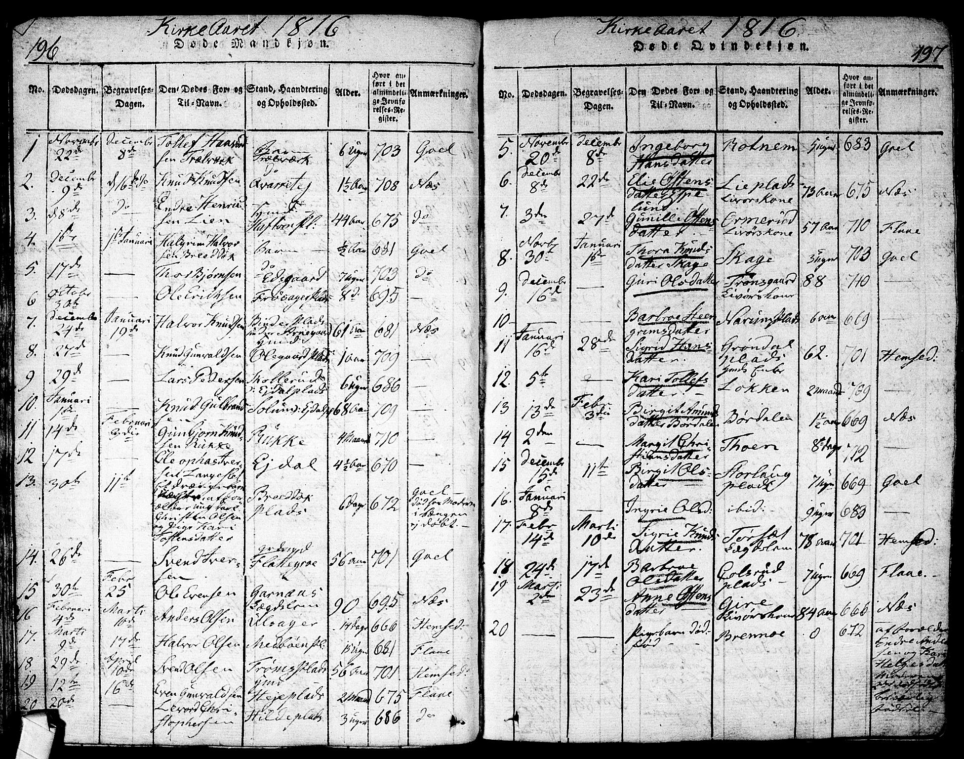 Nes kirkebøker, AV/SAKO-A-236/F/Fa/L0007: Parish register (official) no. 7, 1815-1823, p. 196-197