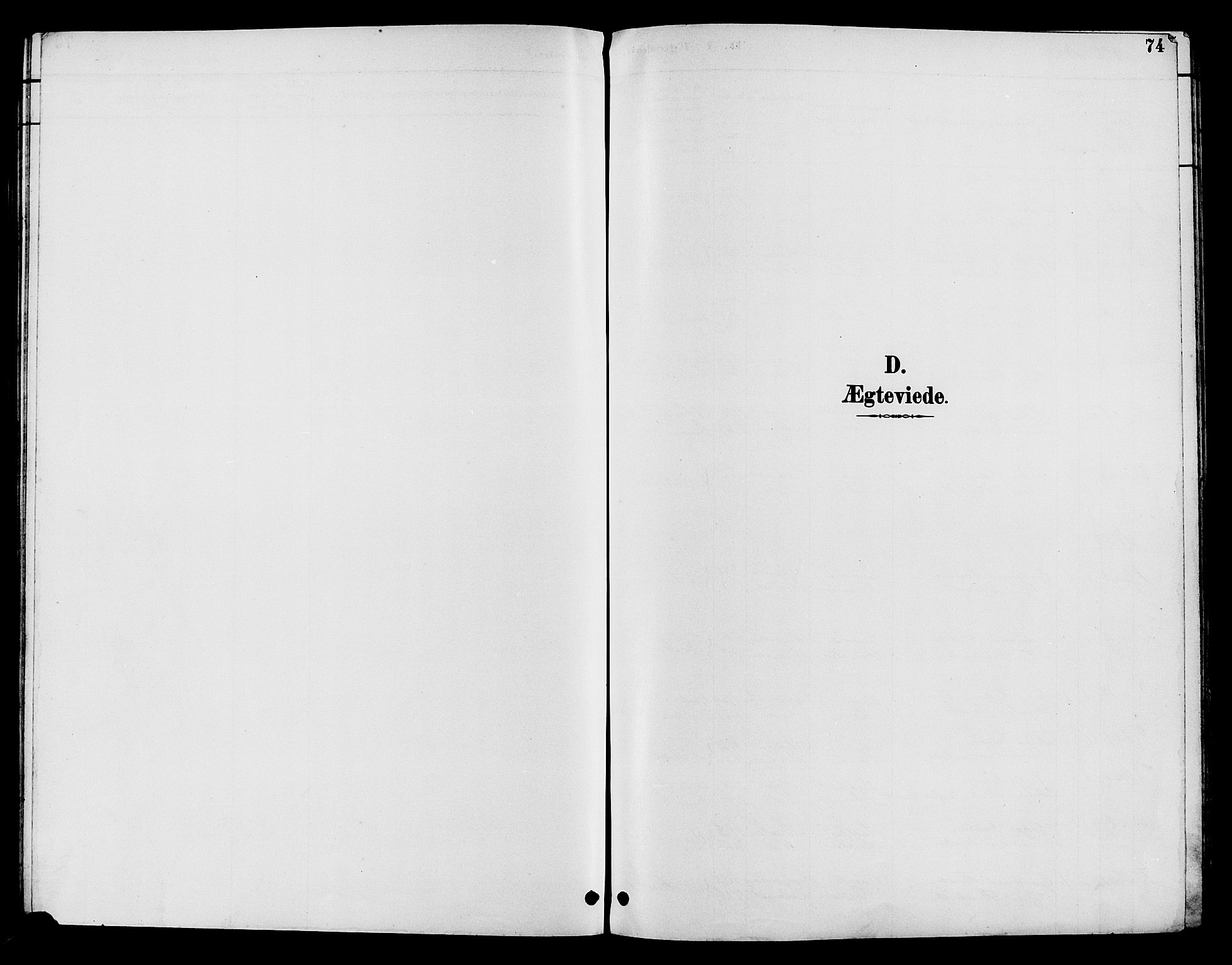 Nord-Aurdal prestekontor, AV/SAH-PREST-132/H/Ha/Hab/L0010: Parish register (copy) no. 10, 1892-1907, p. 74