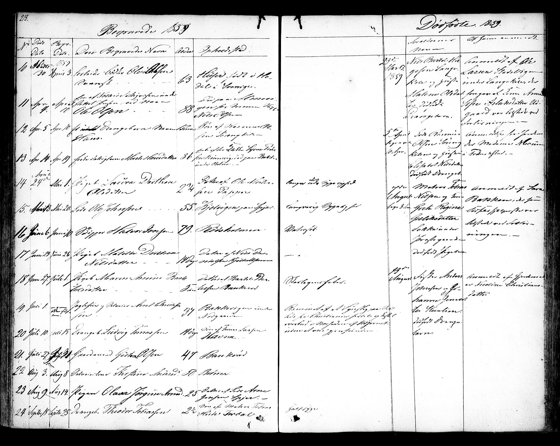 Hvaler prestekontor Kirkebøker, AV/SAO-A-2001/F/Fa/L0006: Parish register (official) no. I 6, 1846-1863, p. 213