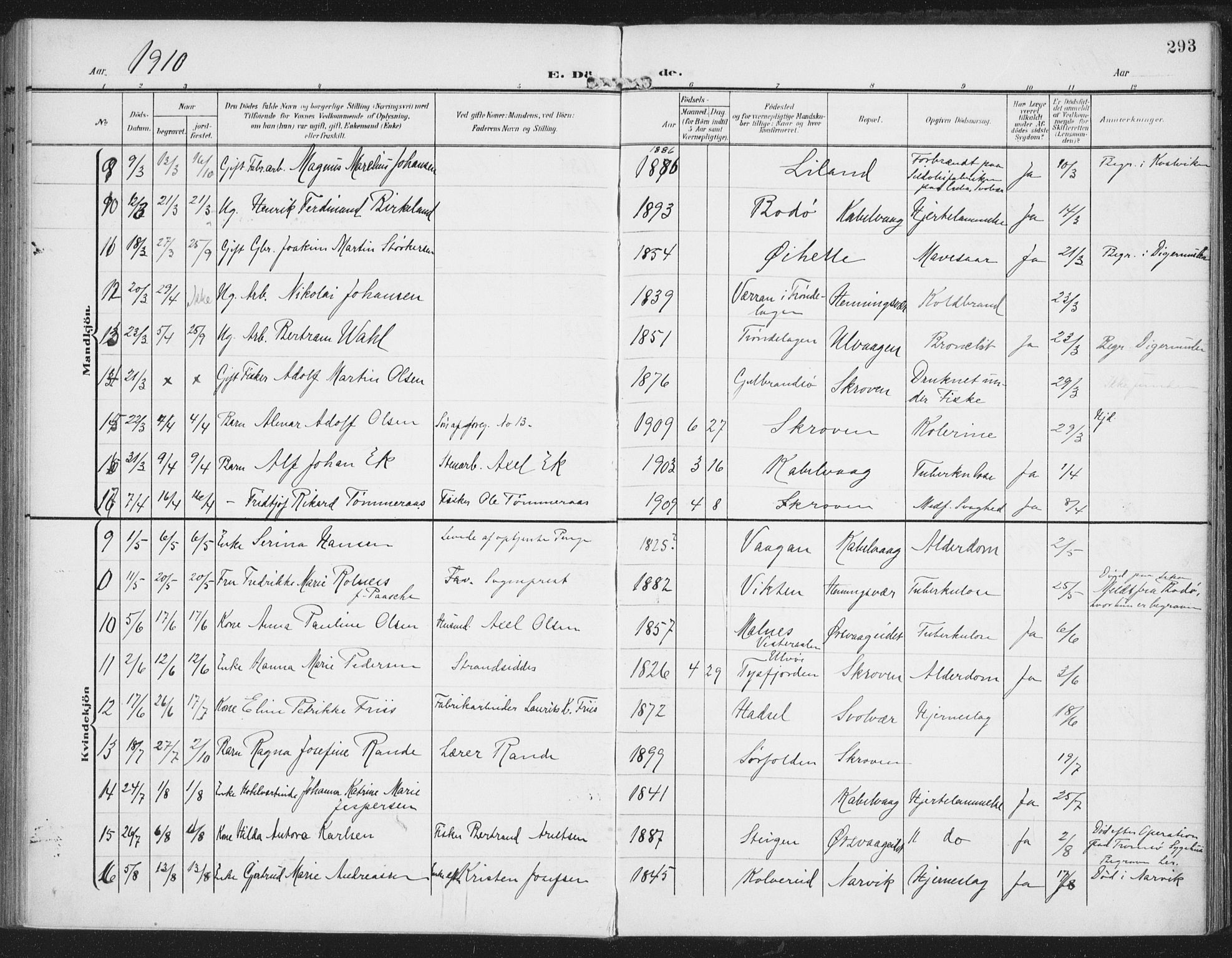 Ministerialprotokoller, klokkerbøker og fødselsregistre - Nordland, AV/SAT-A-1459/874/L1063: Parish register (official) no. 874A07, 1907-1915, p. 293