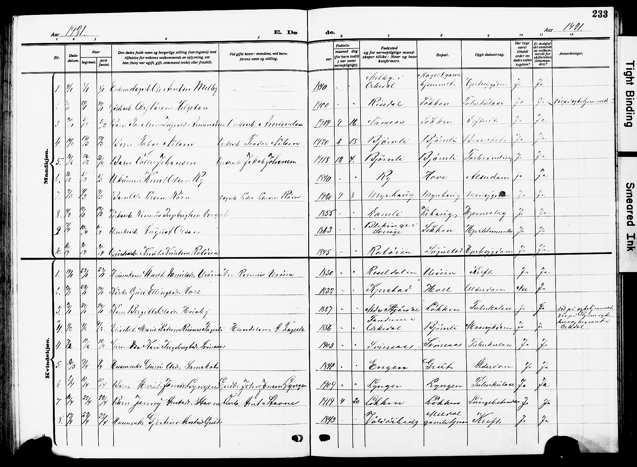 Ministerialprotokoller, klokkerbøker og fødselsregistre - Sør-Trøndelag, AV/SAT-A-1456/672/L0865: Parish register (copy) no. 672C04, 1914-1928, p. 233