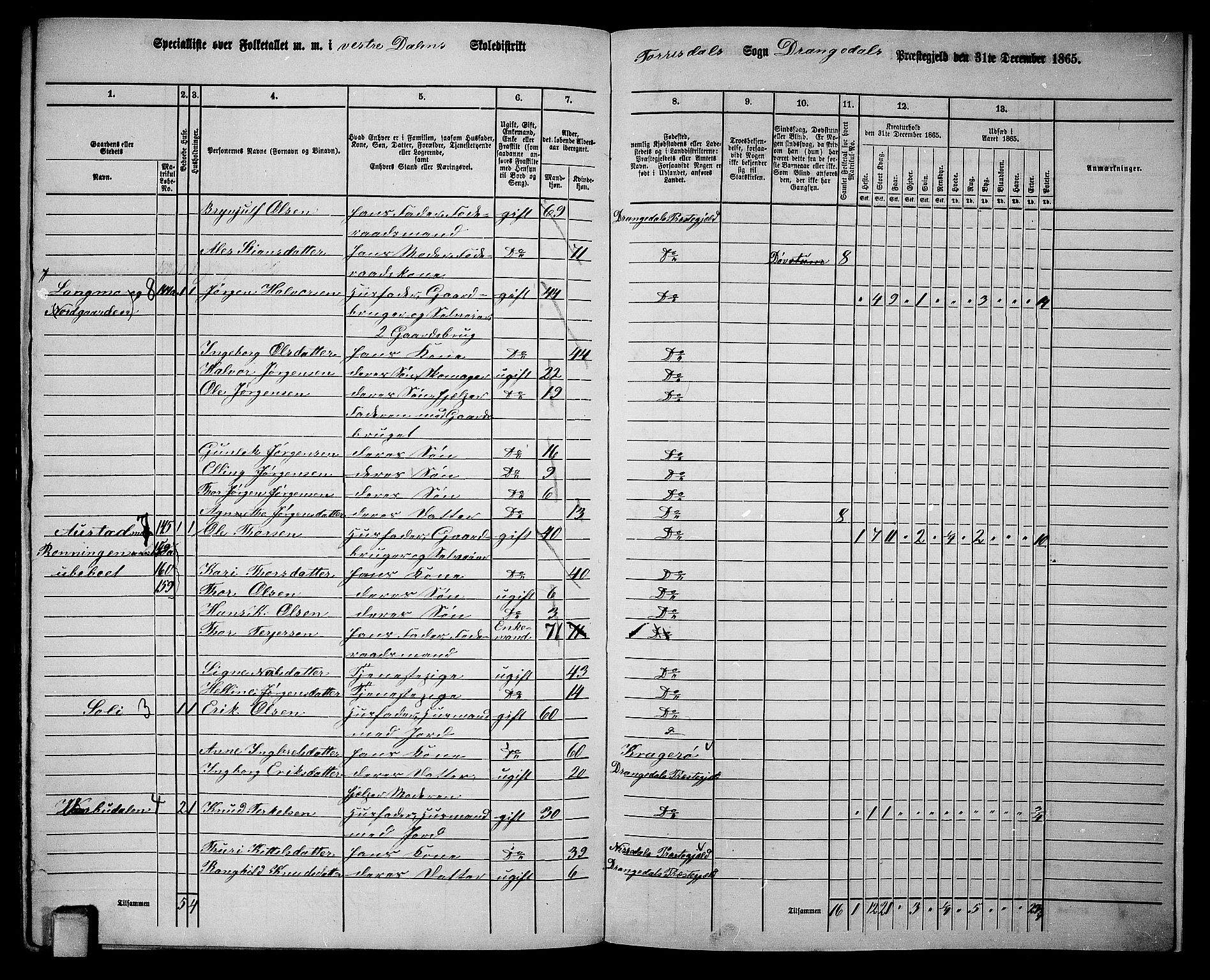 RA, 1865 census for Drangedal, 1865, p. 142