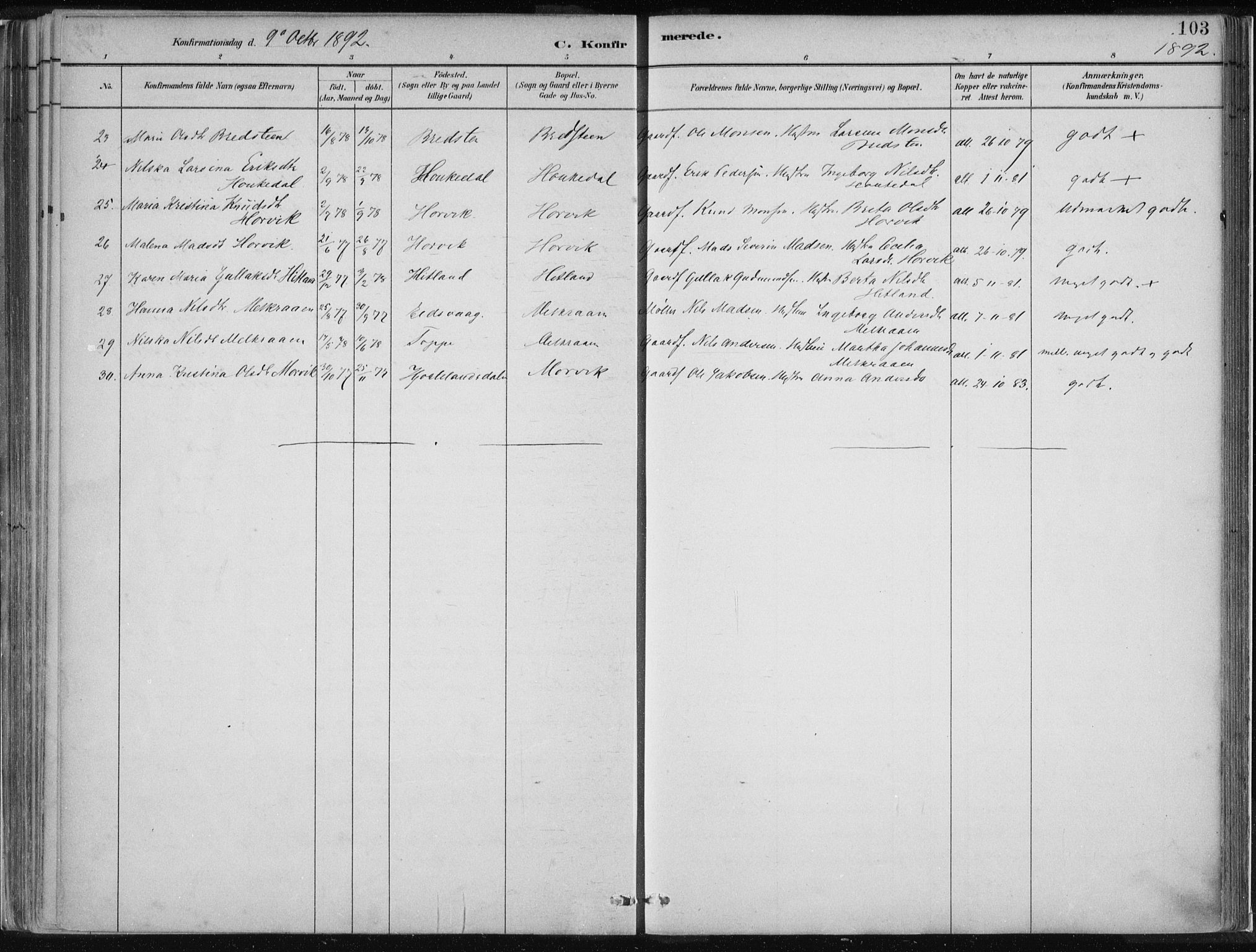 Hamre sokneprestembete, AV/SAB-A-75501/H/Ha/Haa/Haad/L0001: Parish register (official) no. D  1, 1882-1906, p. 103