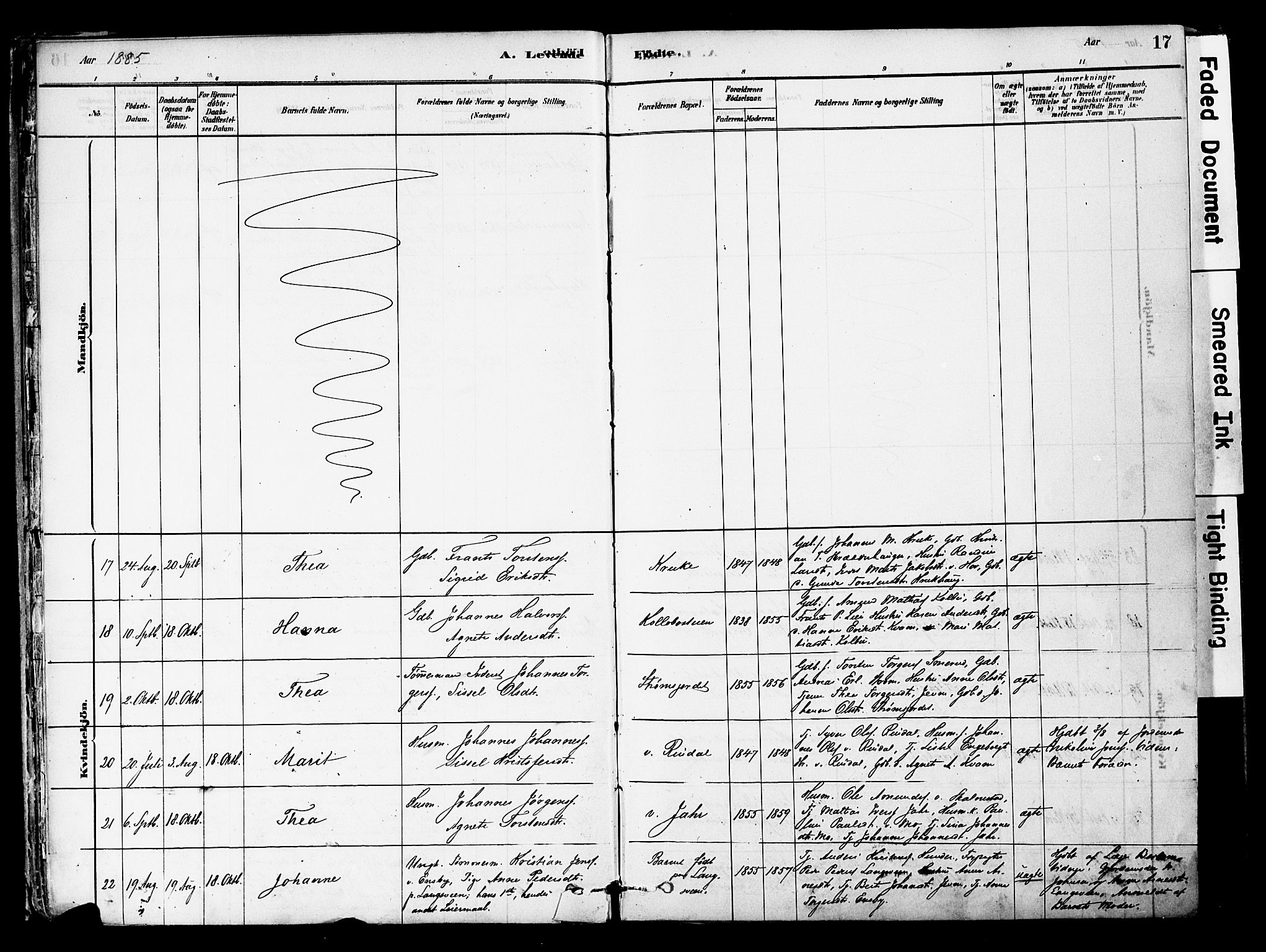 Øyer prestekontor, AV/SAH-PREST-084/H/Ha/Haa/L0008: Parish register (official) no. 8, 1878-1897, p. 17