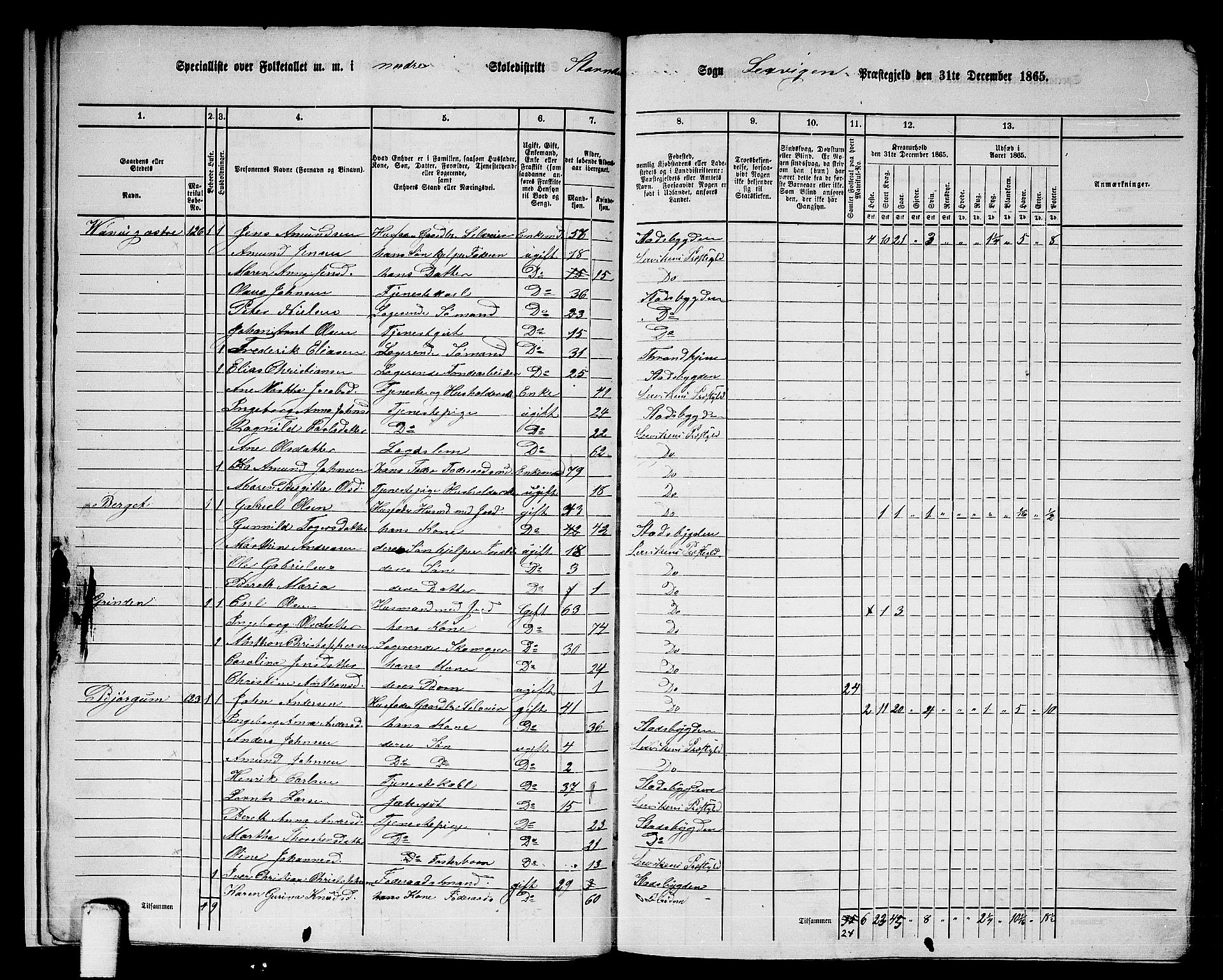 RA, 1865 census for Leksvik, 1865, p. 14