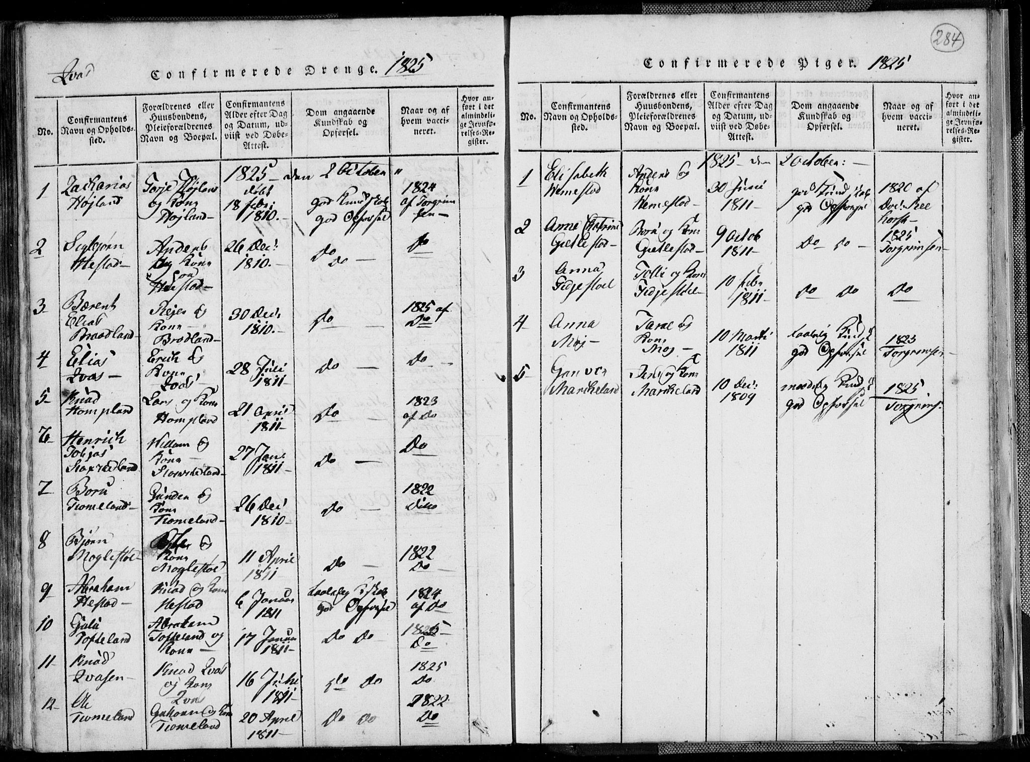 Lyngdal sokneprestkontor, AV/SAK-1111-0029/F/Fa/Fac/L0006: Parish register (official) no. A 6, 1815-1825, p. 284