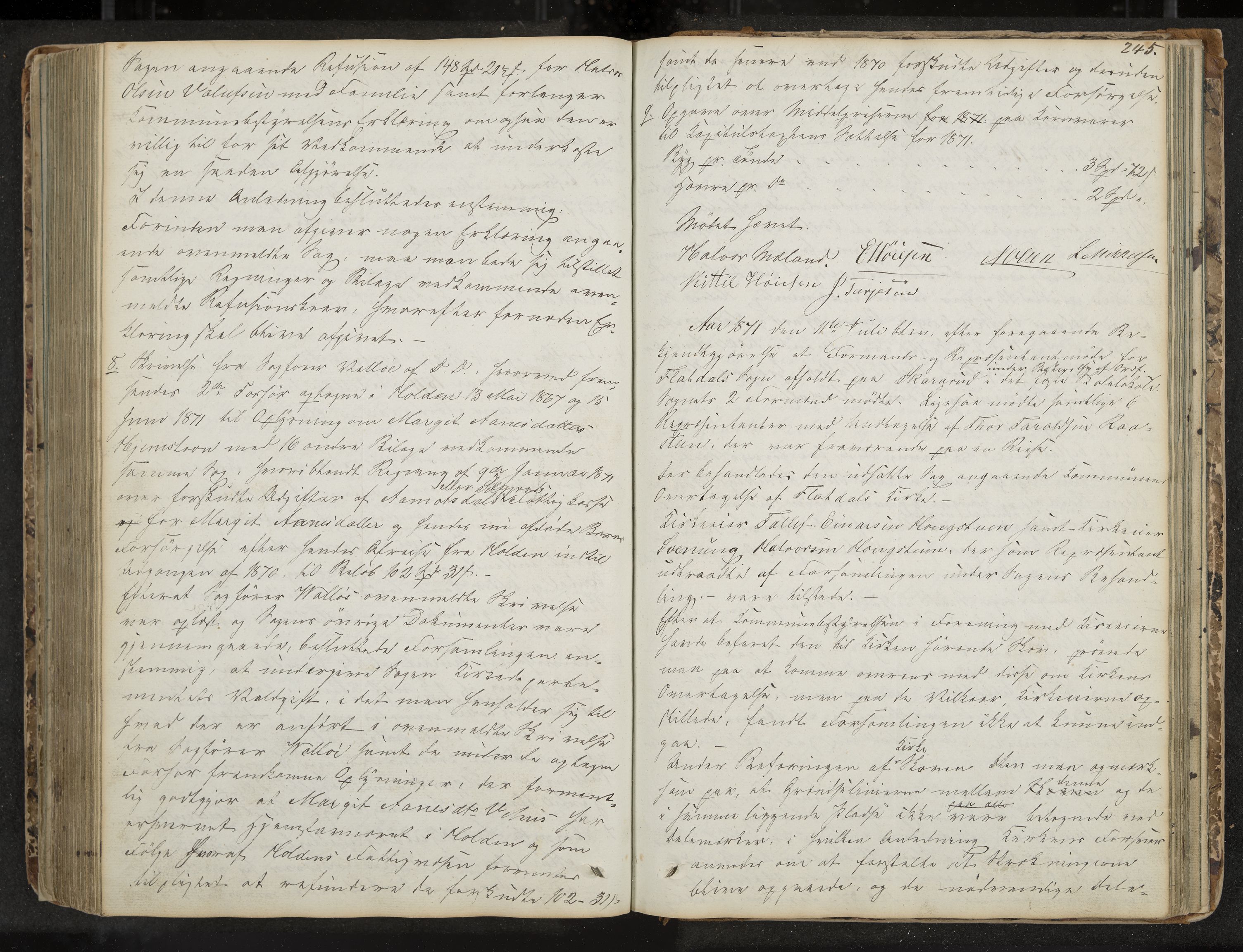 Seljord formannskap og sentraladministrasjon, IKAK/0828021/A/Aa/L0001: Møtebok med register, 1838-1879, p. 245