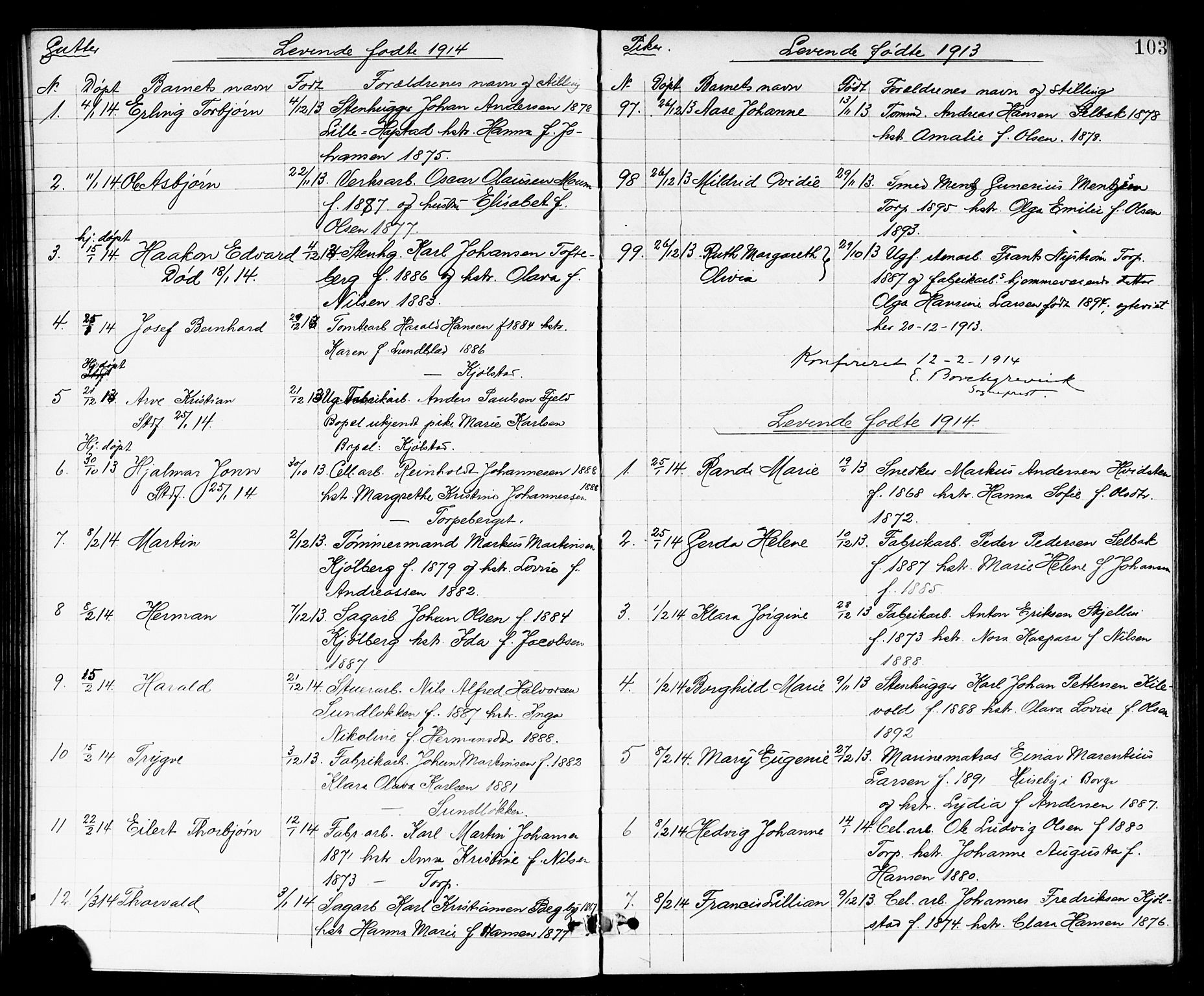 Borge prestekontor Kirkebøker, SAO/A-10903/G/Ga/L0002: Parish register (copy) no. I 2, 1875-1923, p. 103
