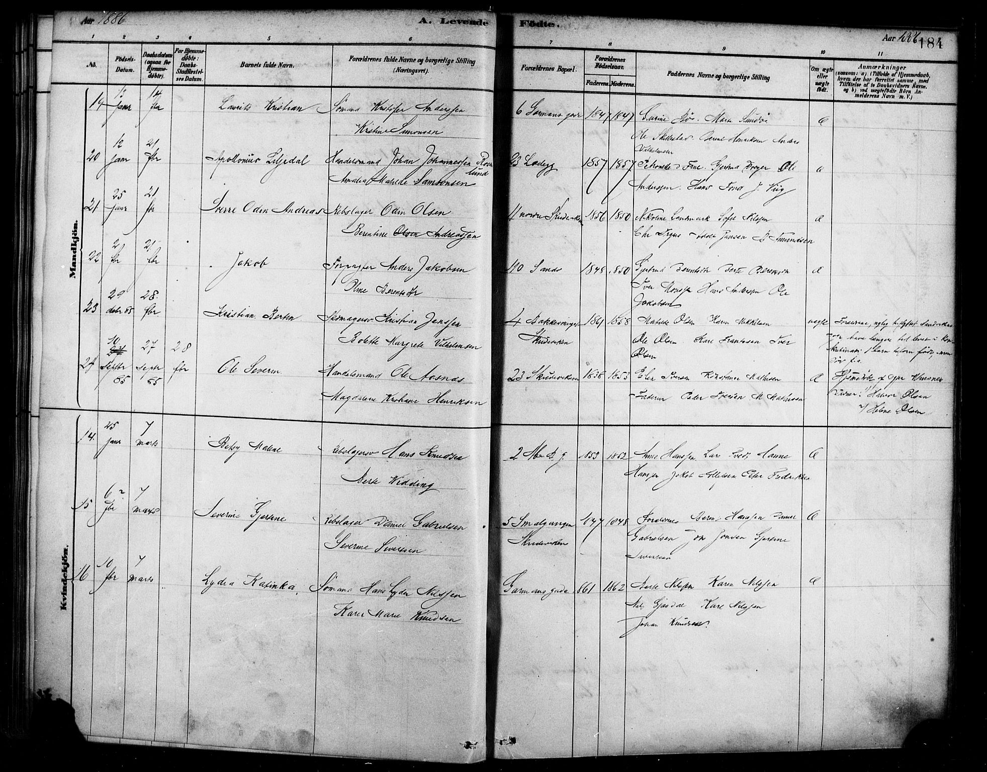 Sandviken Sokneprestembete, AV/SAB-A-77601/H/Ha/L0004: Parish register (official) no. B 1, 1878-1891, p. 184