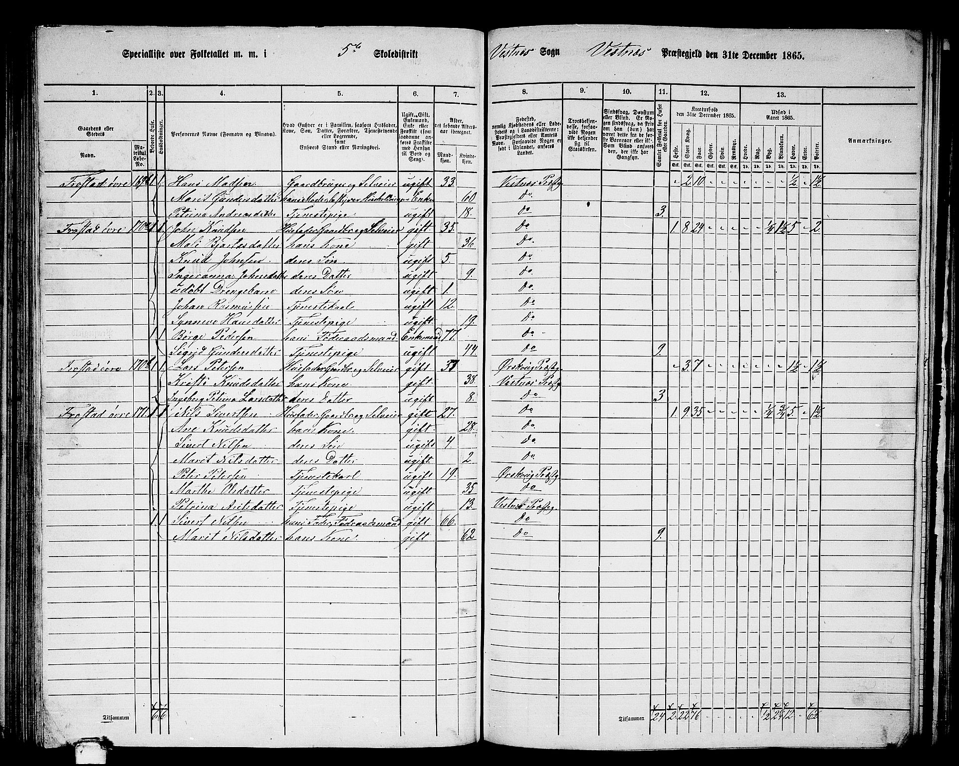 RA, 1865 census for Vestnes, 1865, p. 116