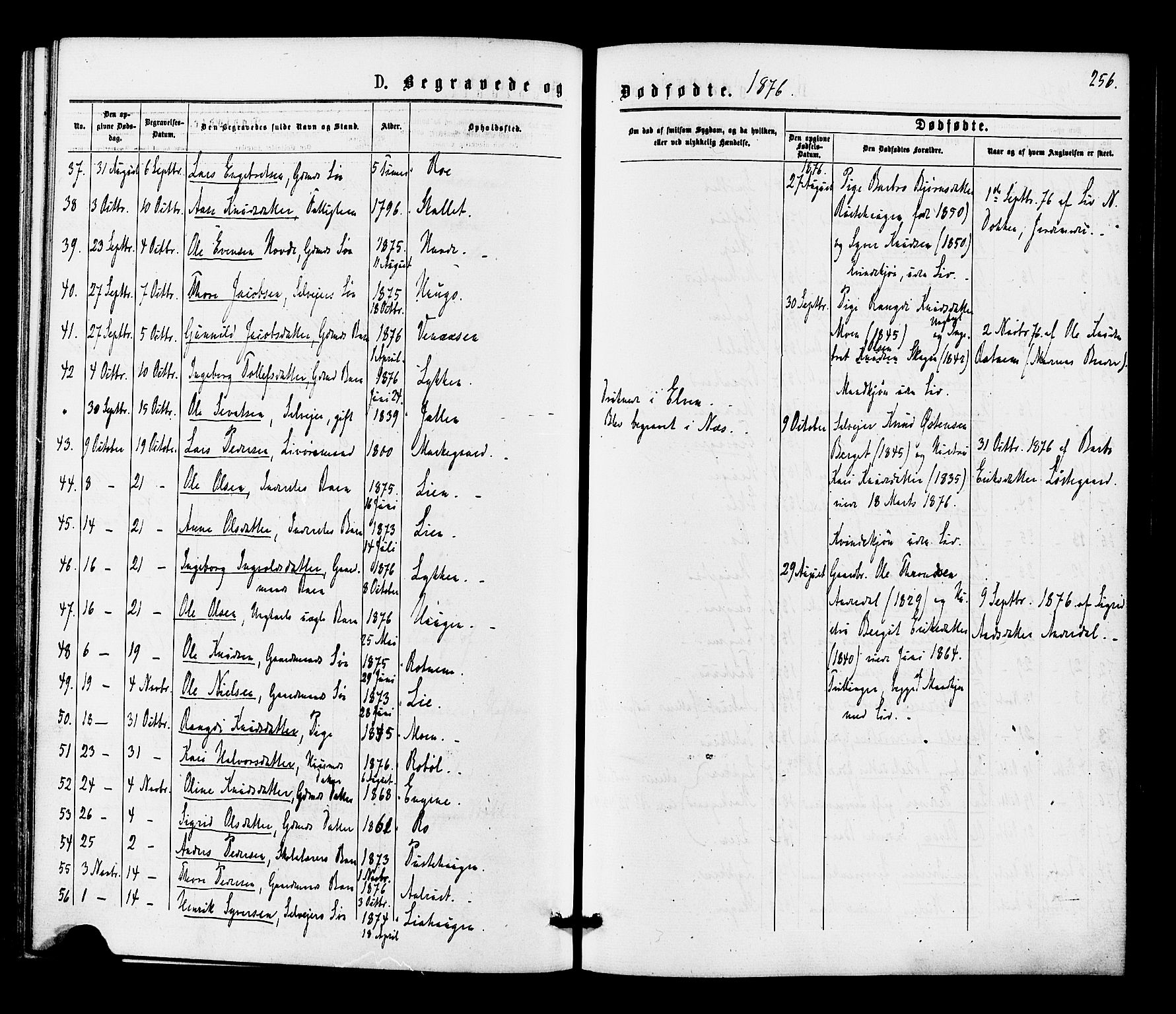 Gol kirkebøker, SAKO/A-226/F/Fa/L0004: Parish register (official) no. I 4, 1876-1886, p. 256