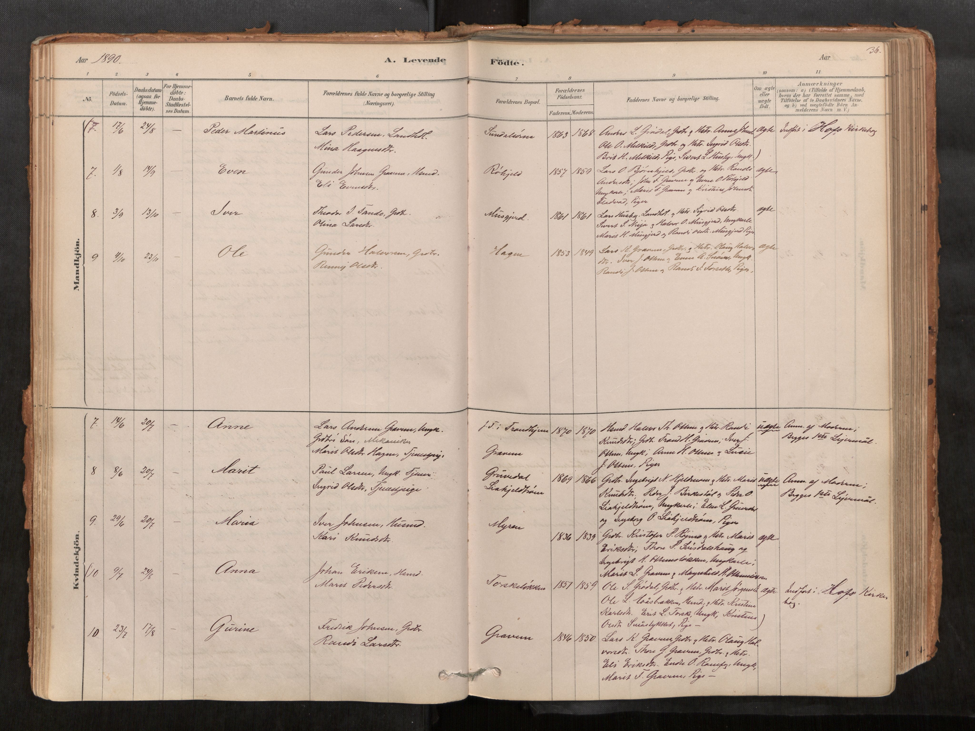 Sunndal sokneprestkontor, AV/SAT-A-1085/1/I/I1/I1a/L0001: Parish register (official) no. 1, 1877-1914, p. 36