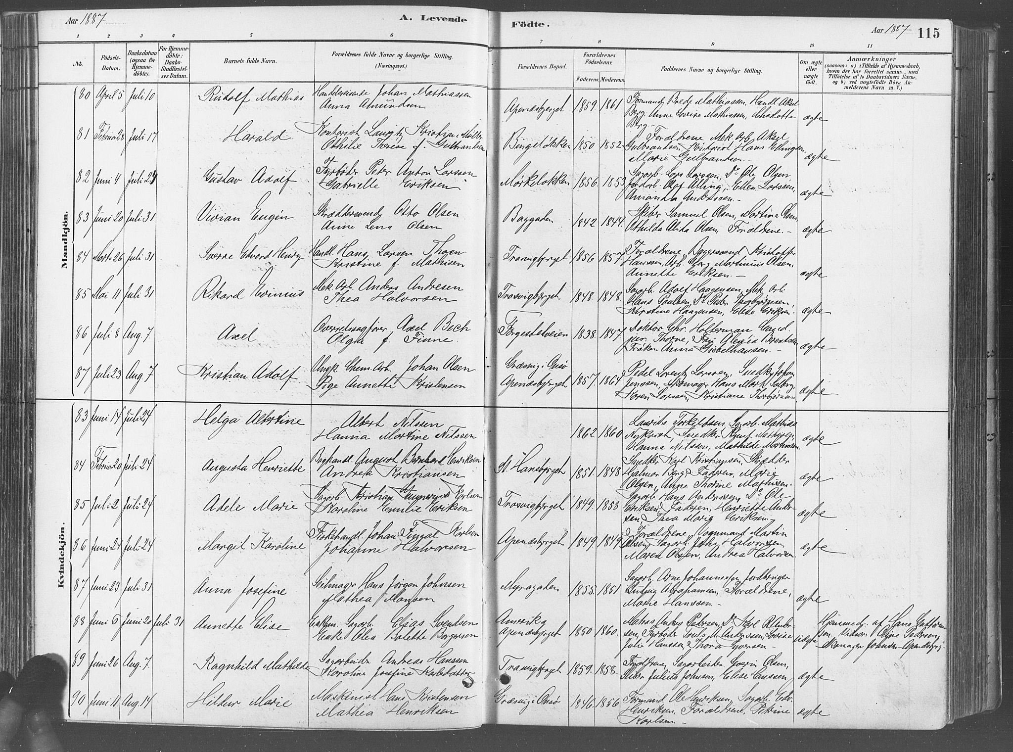 Fredrikstad domkirkes prestekontor Kirkebøker, SAO/A-10906/G/Ga/L0003: Parish register (copy) no. 3, 1880-1900, p. 115