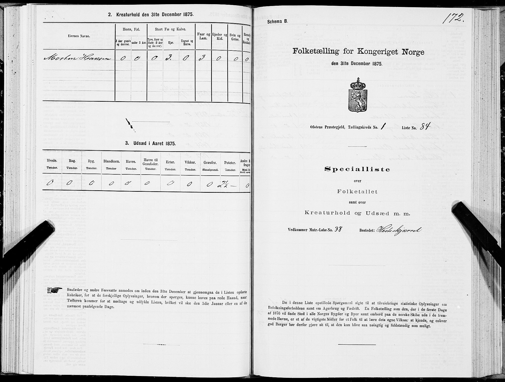 SAT, 1875 census for 1853P Ofoten, 1875, p. 1172