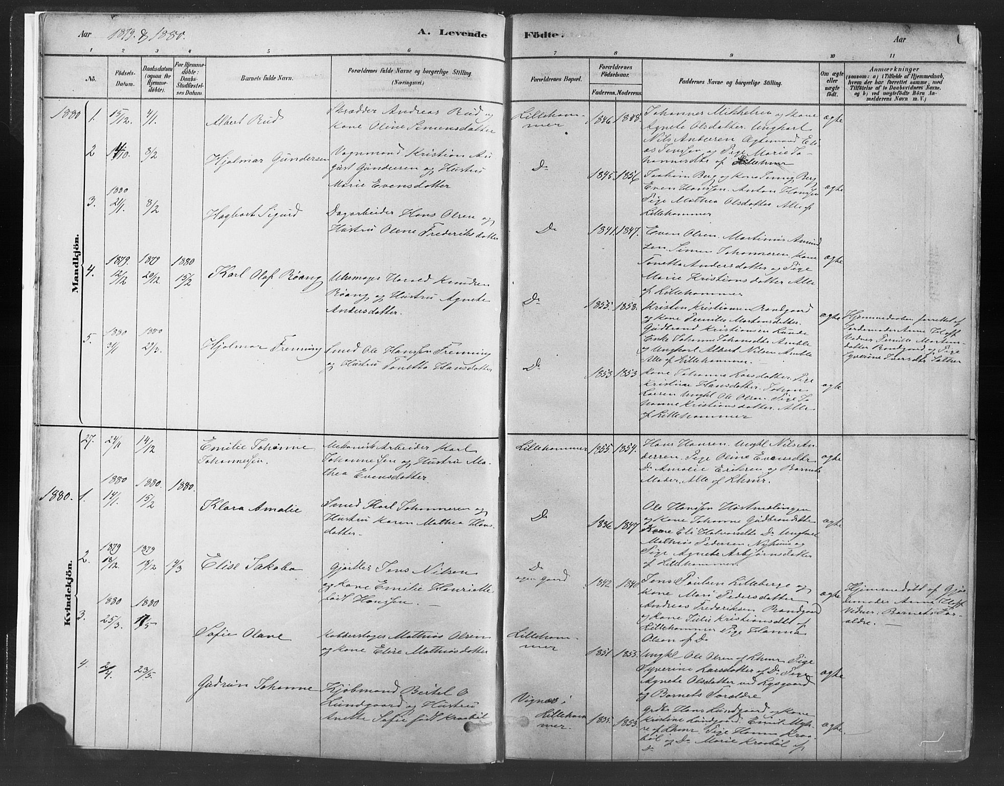 Fåberg prestekontor, SAH/PREST-086/H/Ha/Haa/L0010: Parish register (official) no. 10, 1879-1900, p. 6