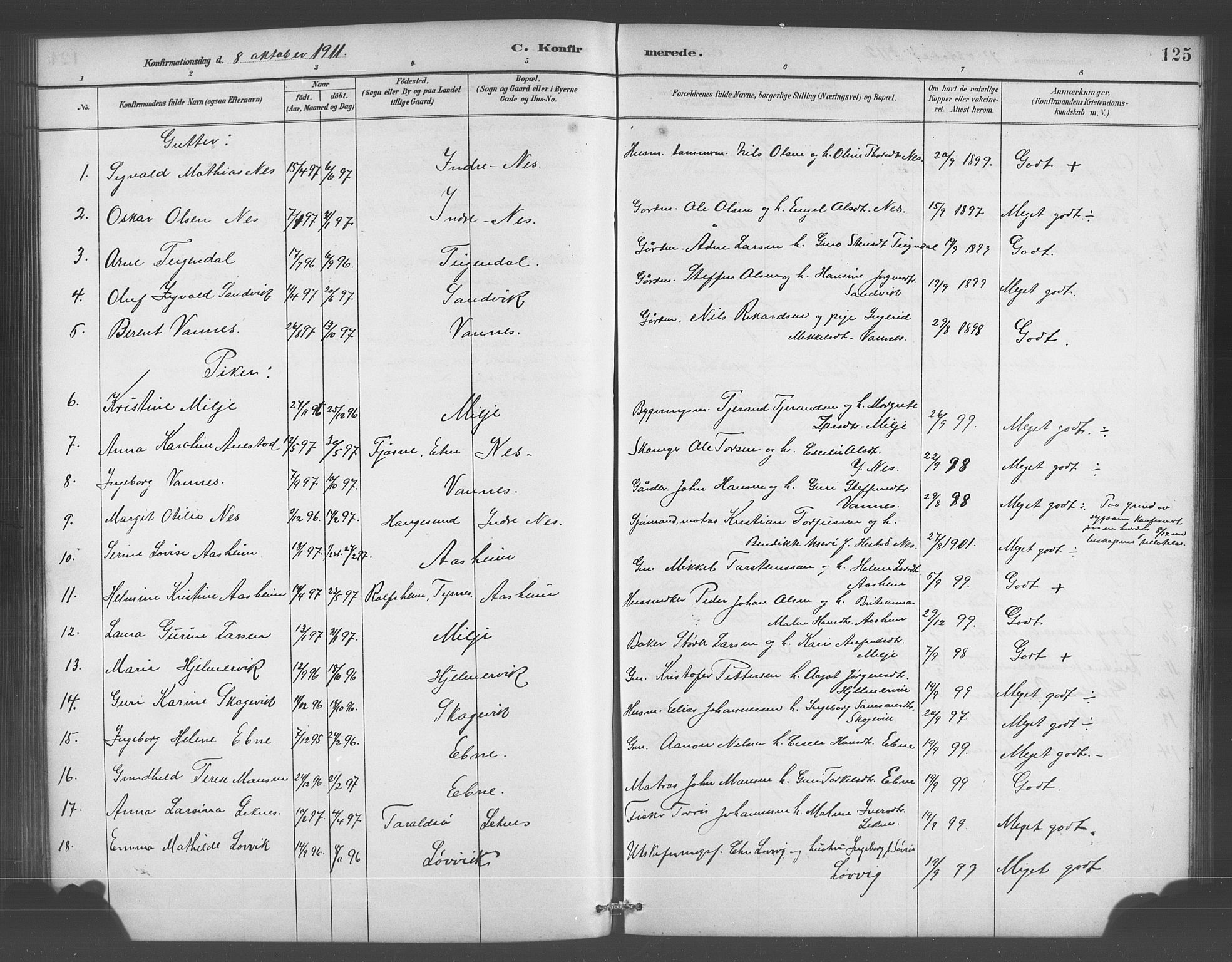 Skånevik sokneprestembete, AV/SAB-A-77801/H/Hab: Parish register (copy) no. A 2, 1888-1924, p. 125