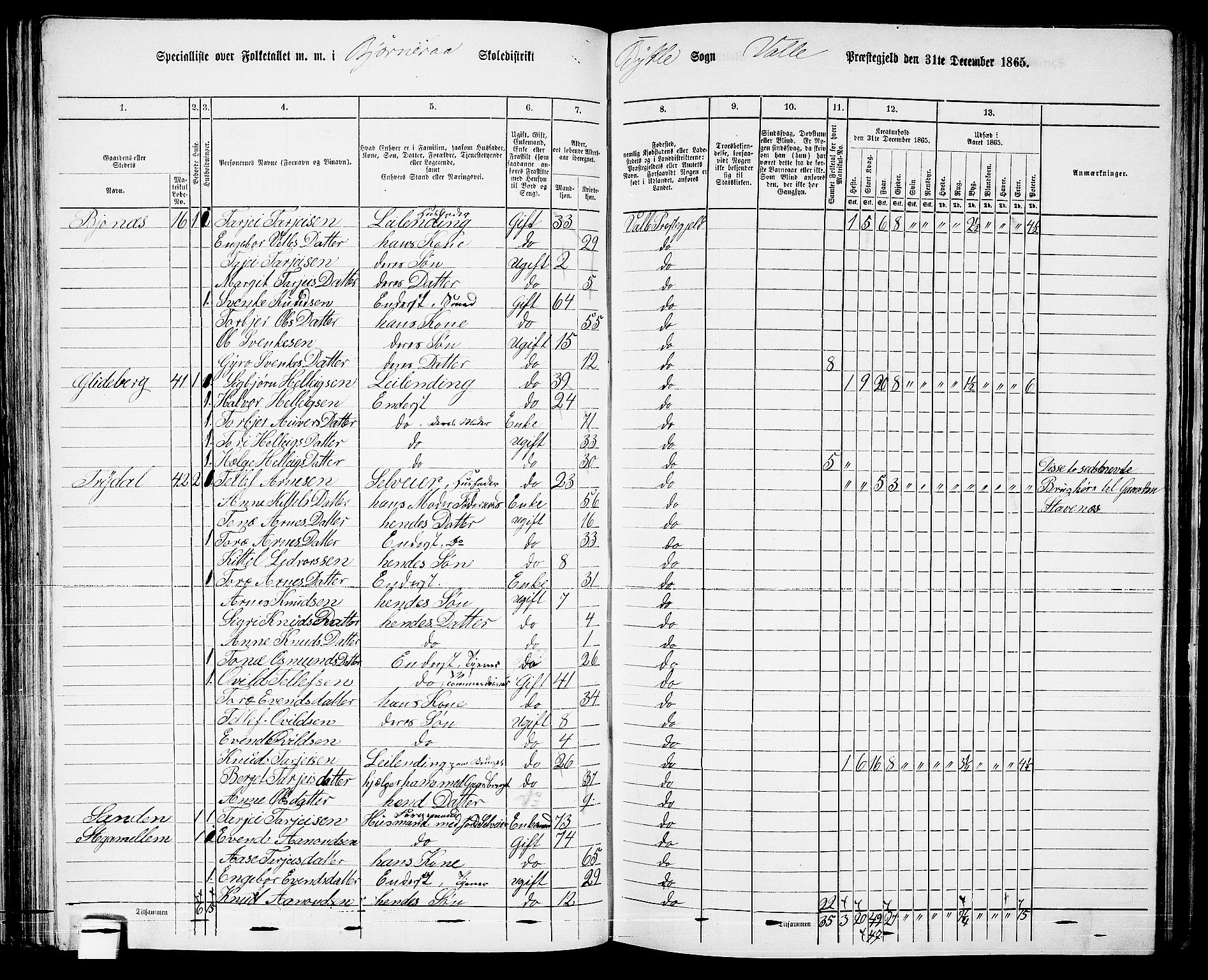 RA, 1865 census for Valle, 1865, p. 76