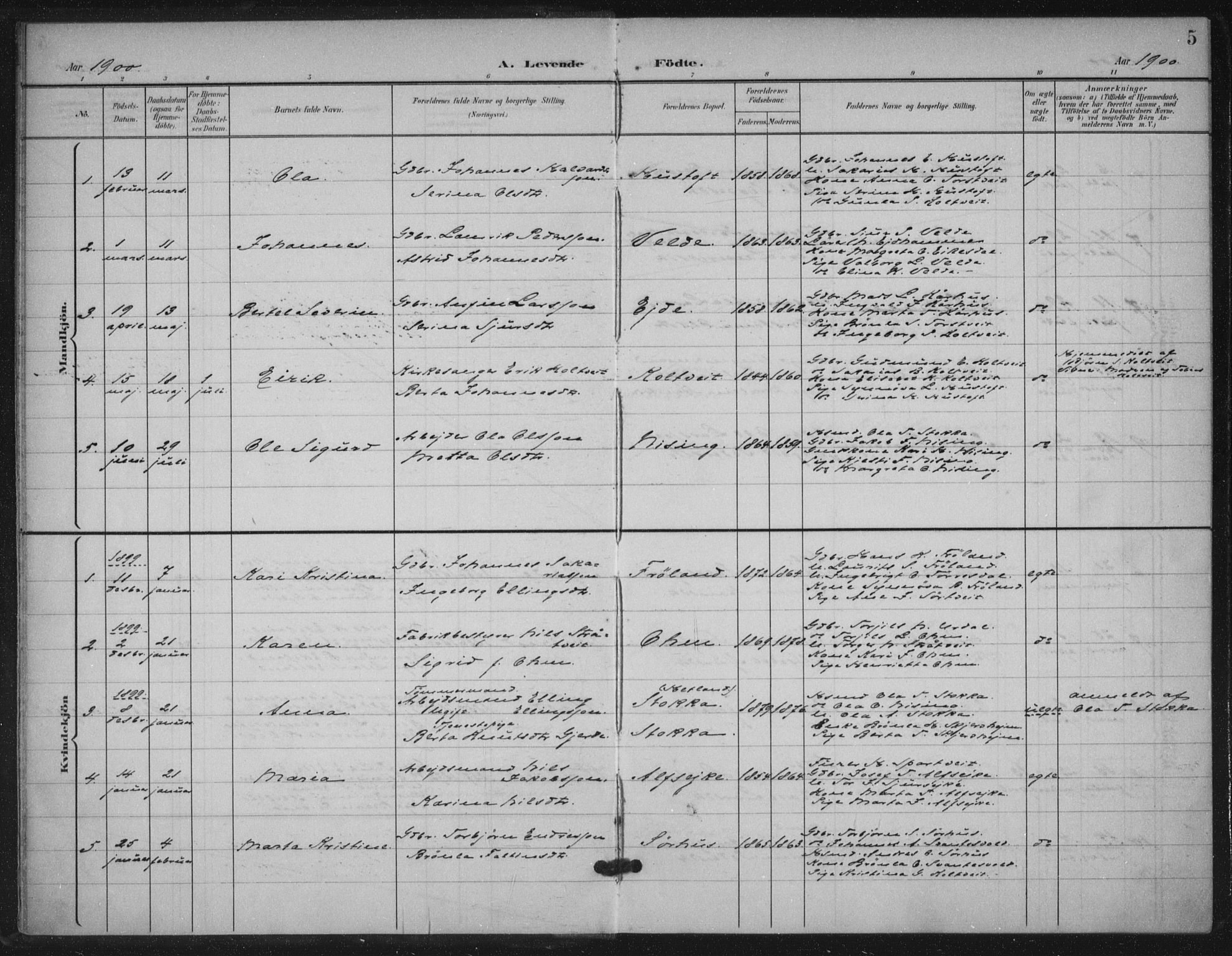 Skjold sokneprestkontor, SAST/A-101847/H/Ha/Haa/L0012: Parish register (official) no. A 12, 1899-1915, p. 5