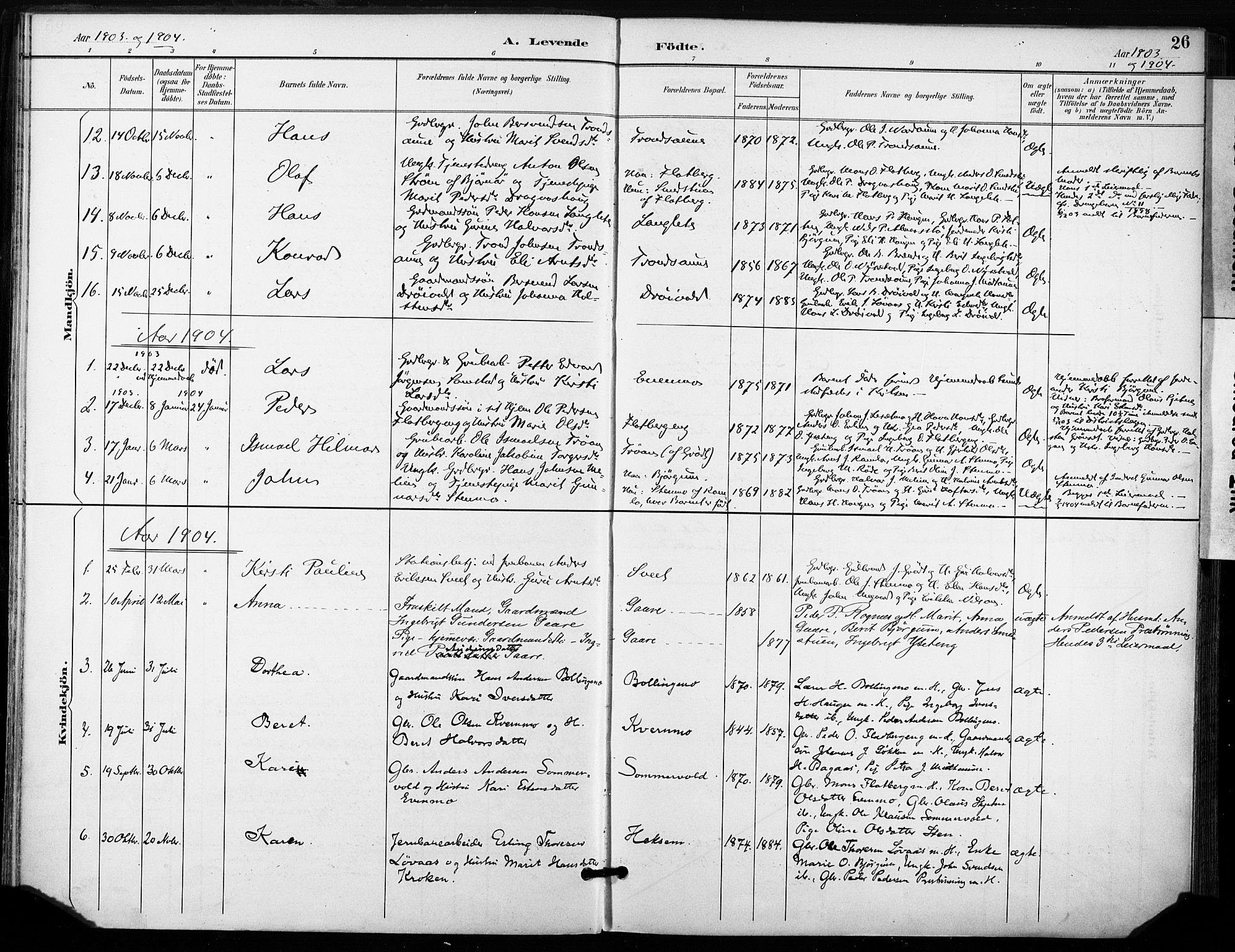 Ministerialprotokoller, klokkerbøker og fødselsregistre - Sør-Trøndelag, AV/SAT-A-1456/685/L0973: Parish register (official) no. 685A10, 1891-1907, p. 26