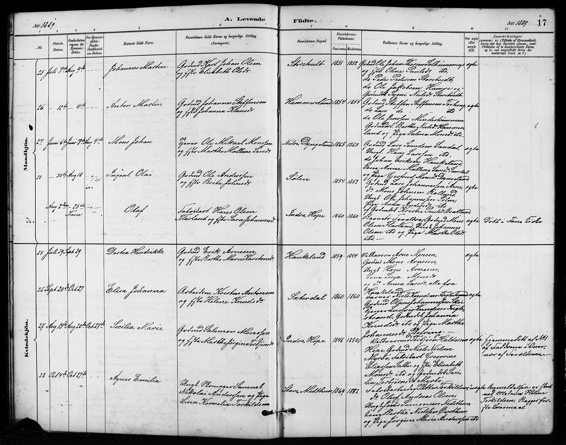 Birkeland Sokneprestembete, AV/SAB-A-74601/H/Hab: Parish register (copy) no. A 4, 1888-1897, p. 17