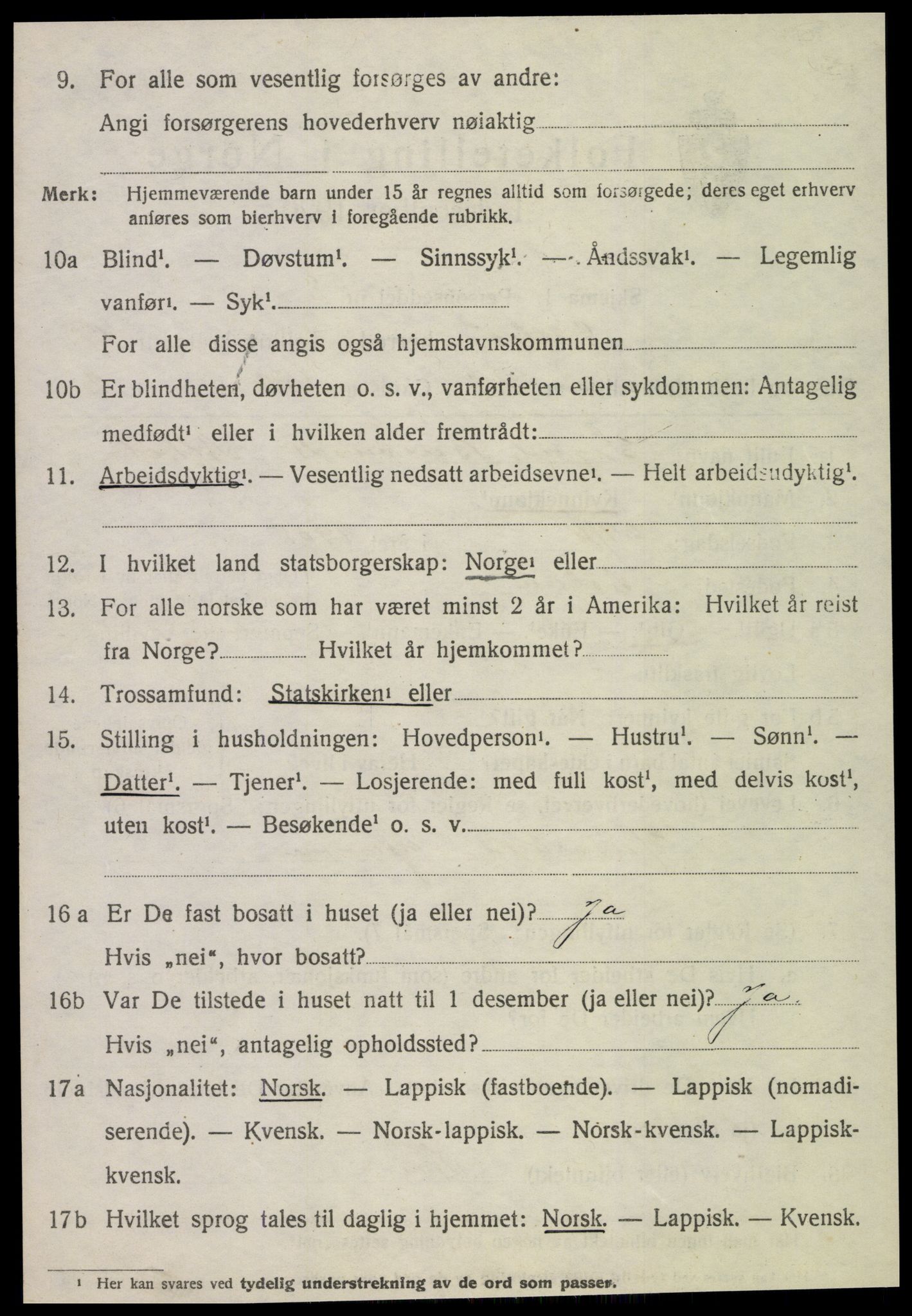 SAT, 1920 census for Selbu, 1920, p. 10205